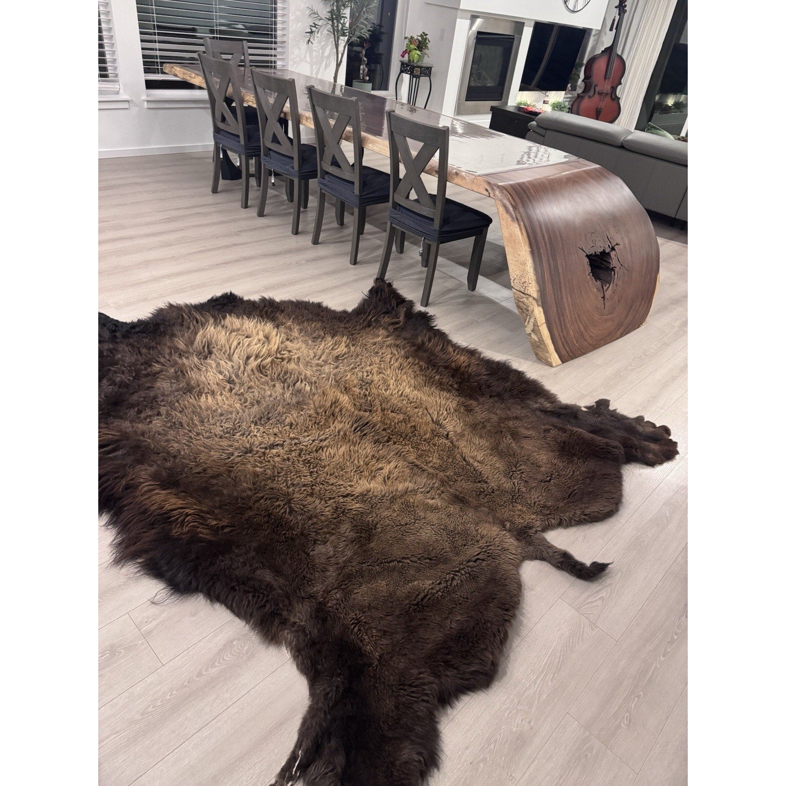 FHGUL2 - Premium Massive XXL bison Hide Rug Taxidermy Fur