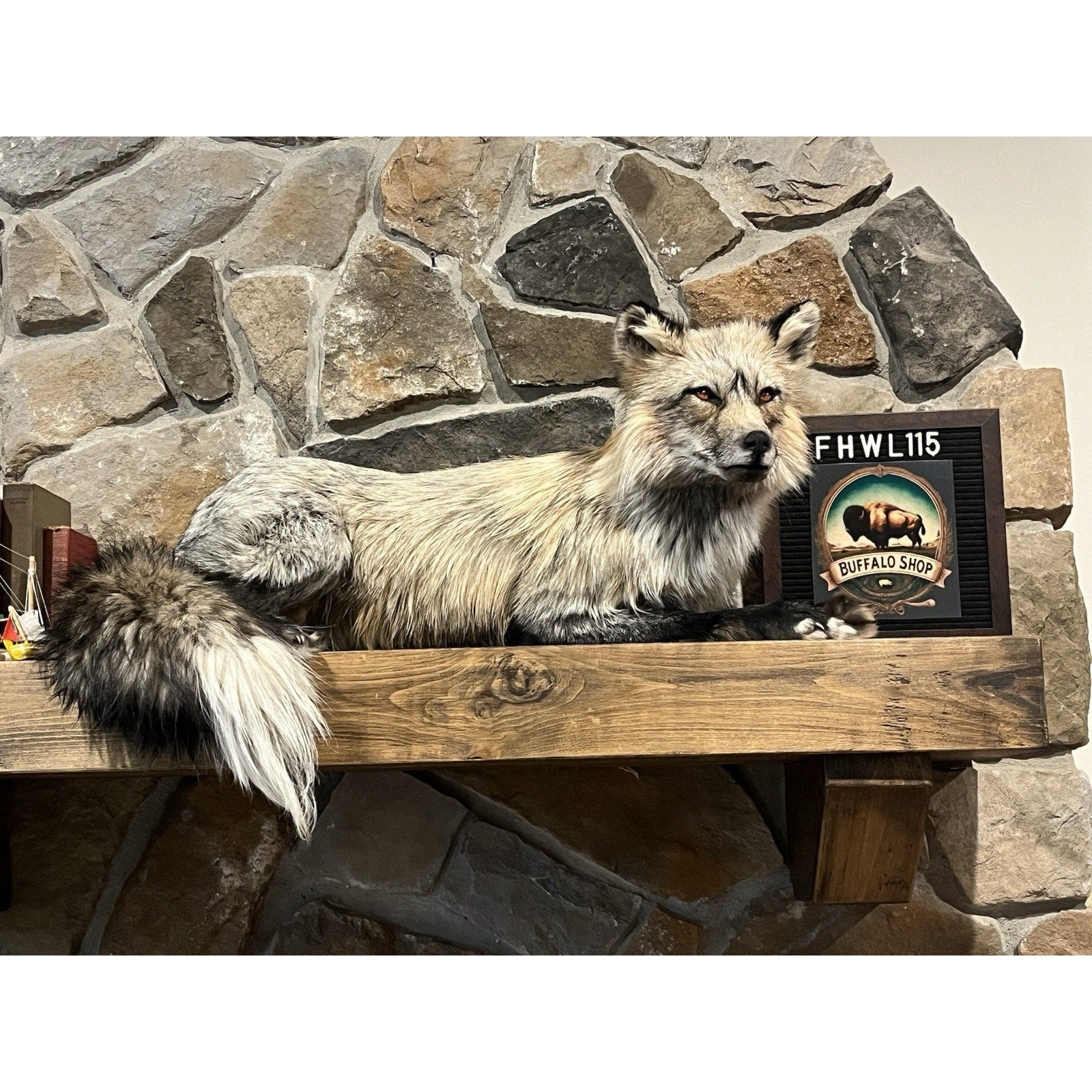 FHWL115- Premium Fox Taxidermy Full Body Mount