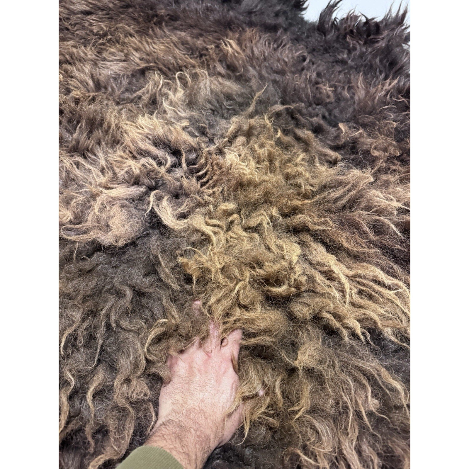 FHGUL1 - Premium Massive XXL bison Hide Rug Taxidermy Fur