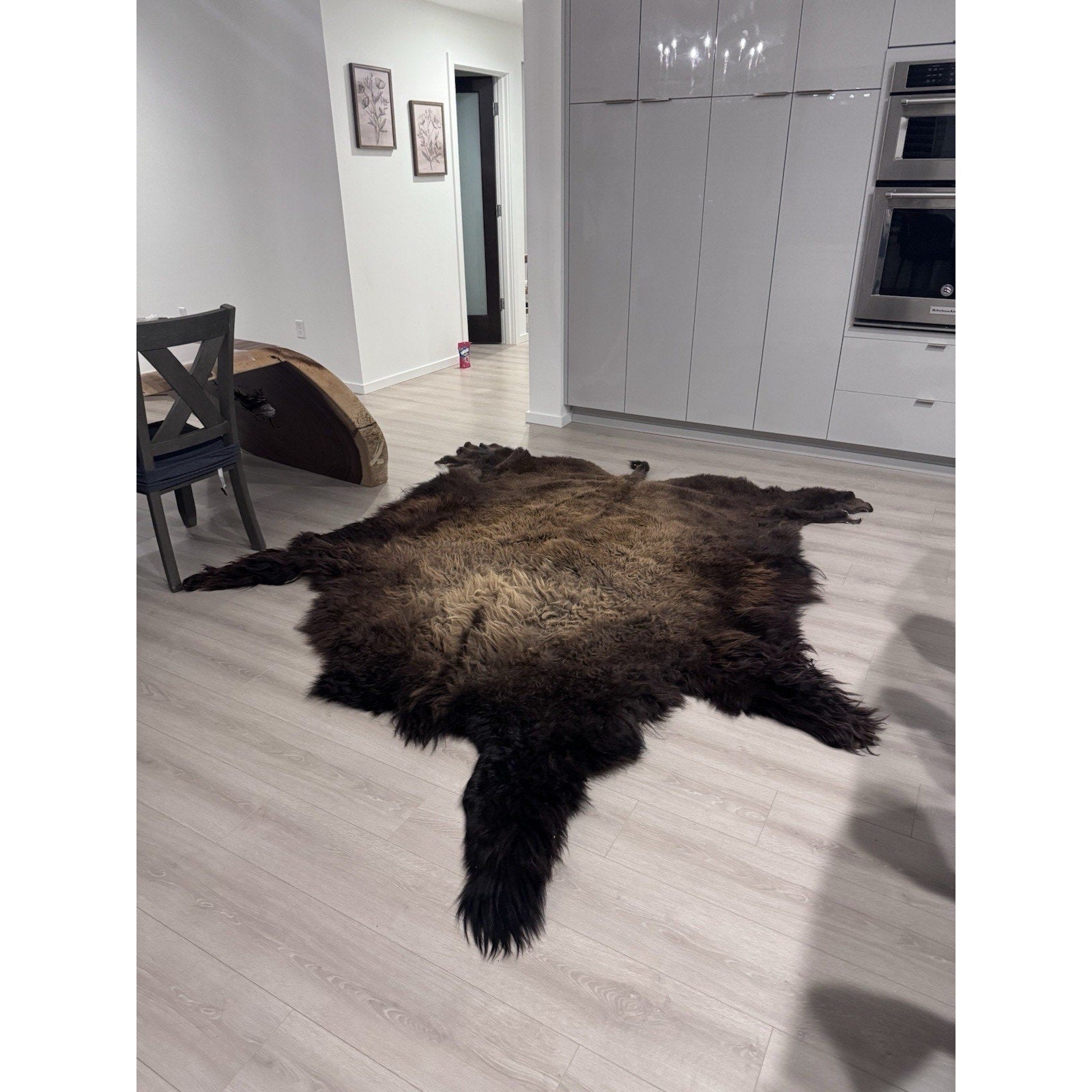 FHGUL2 - Premium Massive XXL bison Hide Rug Taxidermy Fur
