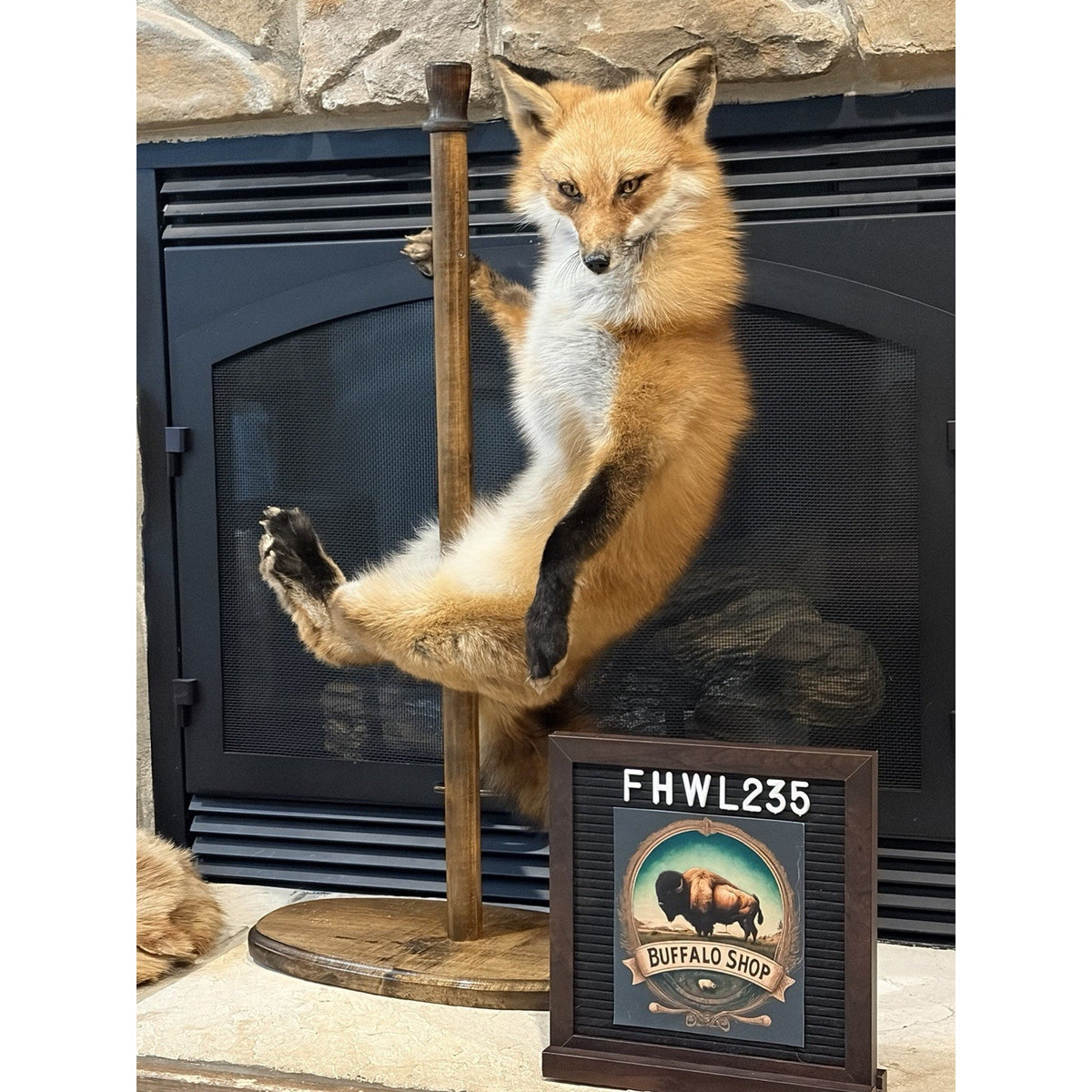 FHWL235 - Red Fox Taxidermy Stripper Dancing Full Body Mount