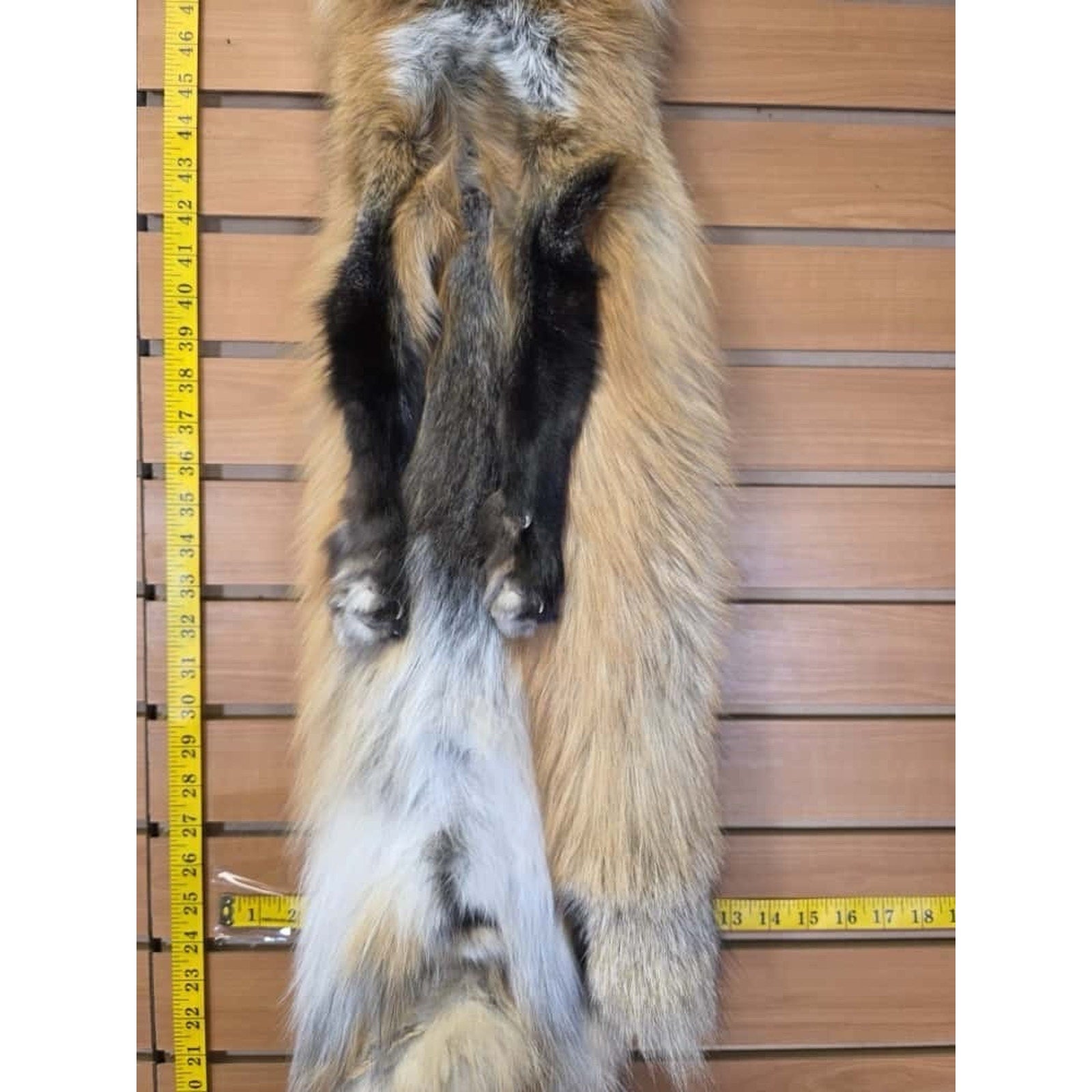 FHCM18 - Gorgeous Ranch Fox Soft Tanned Fur