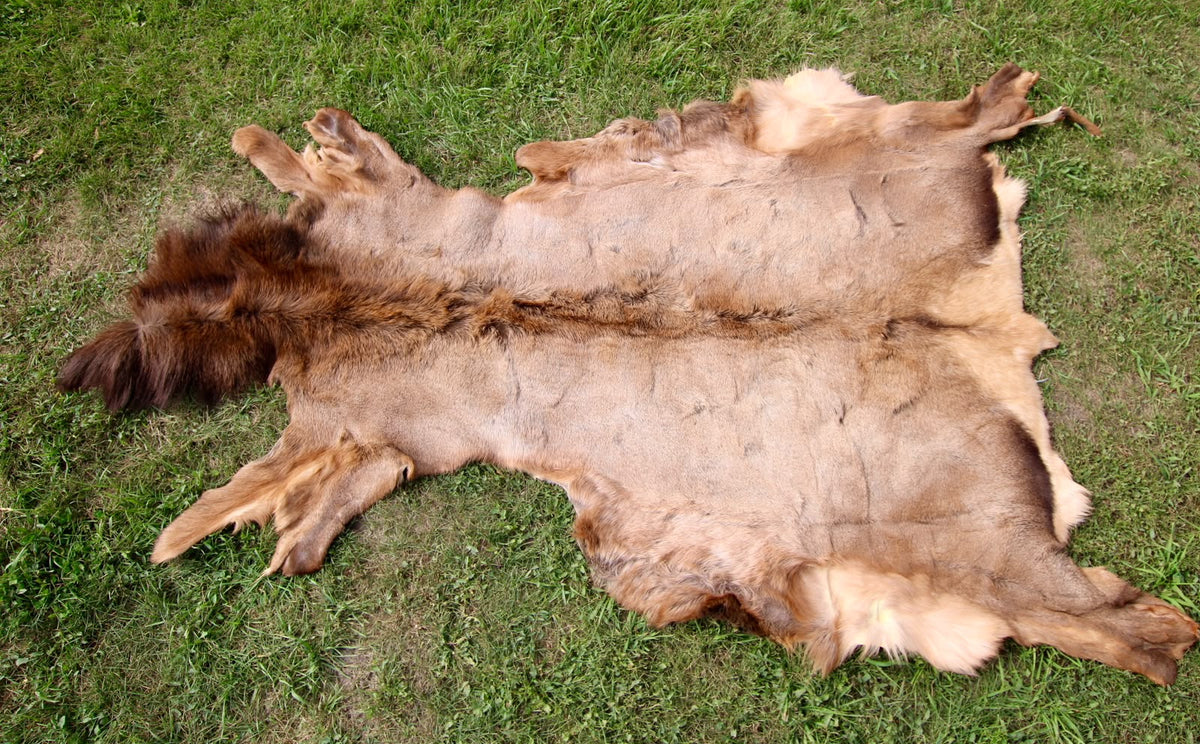 FHSP113 - Taxidermy Premium Tanned Elk Hide Pelt