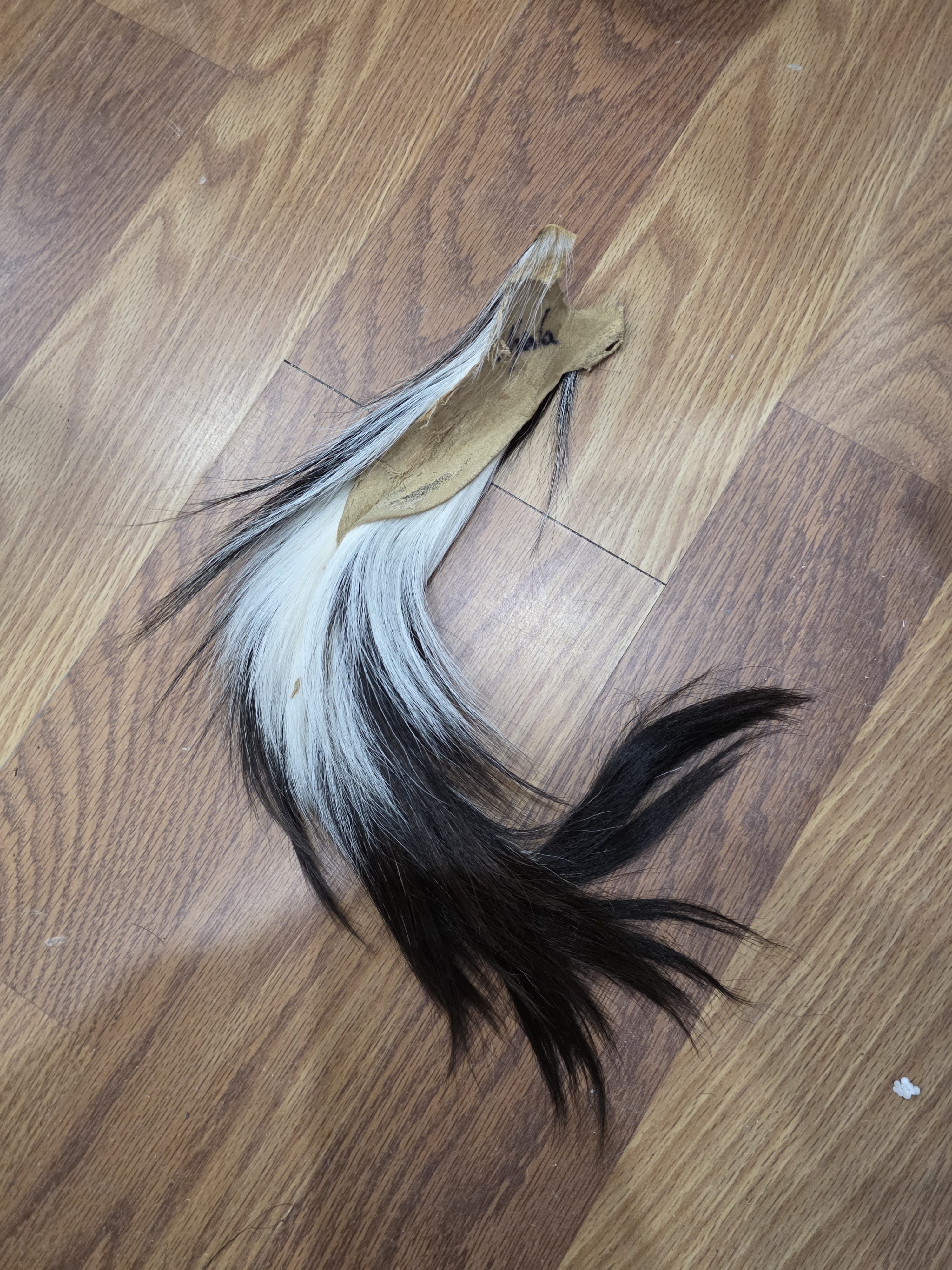 JVtl13 - Nyala Tail – 18” Rustic Decorative Display