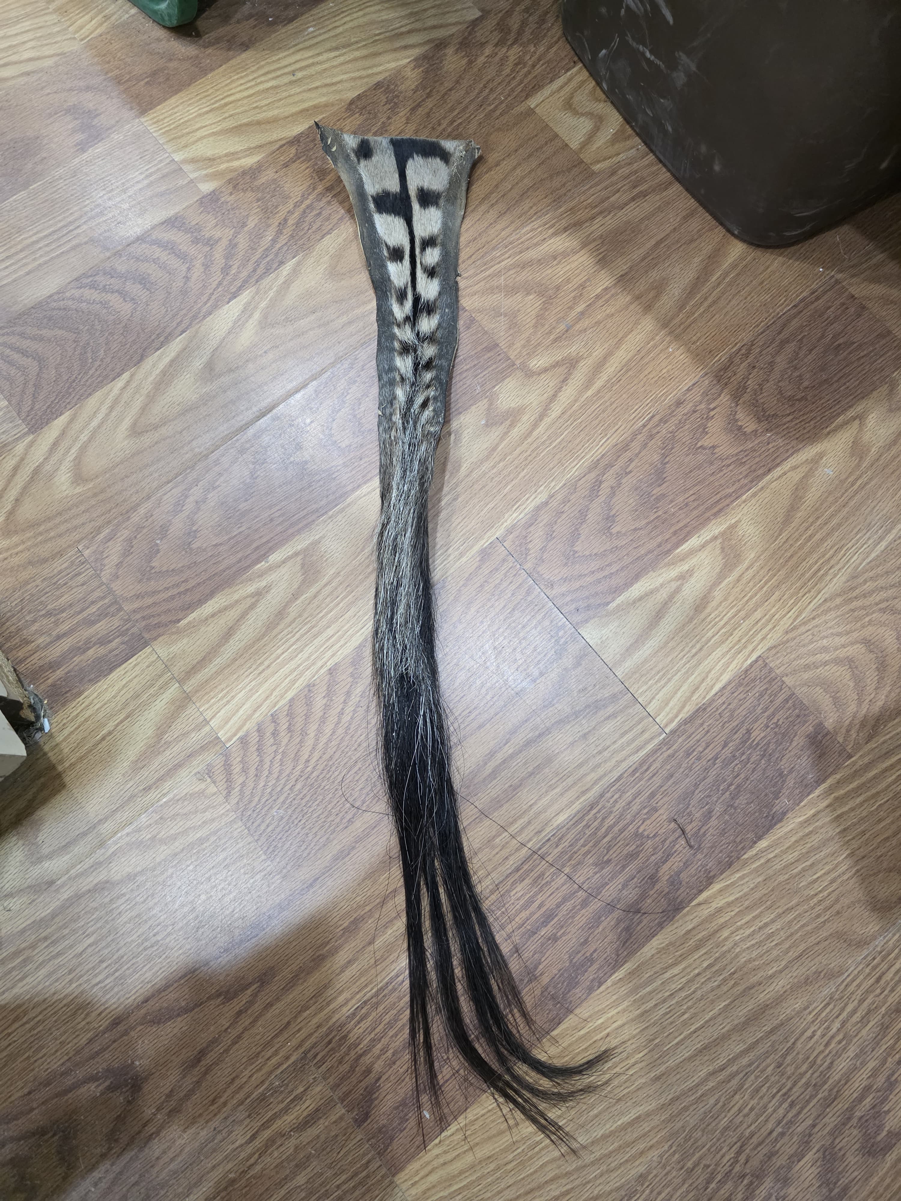 JVTL2 - Zebra Tail 32" | Authentic Wildlife Display
