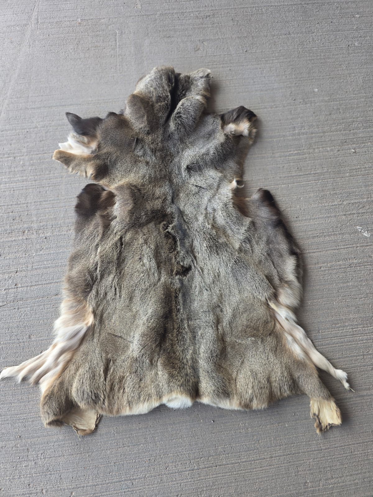 FHRAN87 - Mule Deer Hide Pelt Fur – 46” x 29”