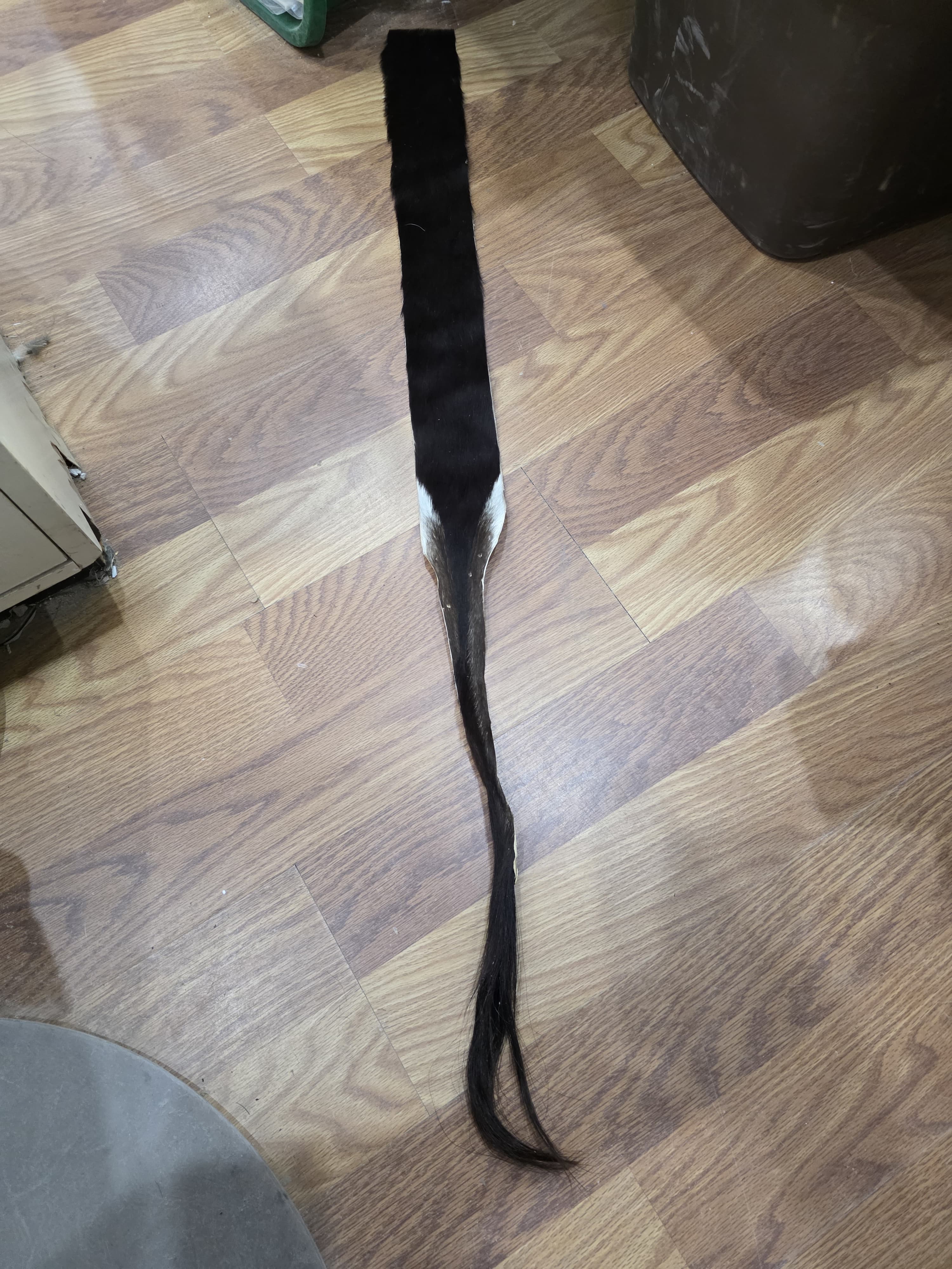 JVTL5 - African Sable Tail 46" – Authentic Natural Sable Antelope Tail | Premium Wildlife Taxidermy & Rustic Lodge Decor Piece
