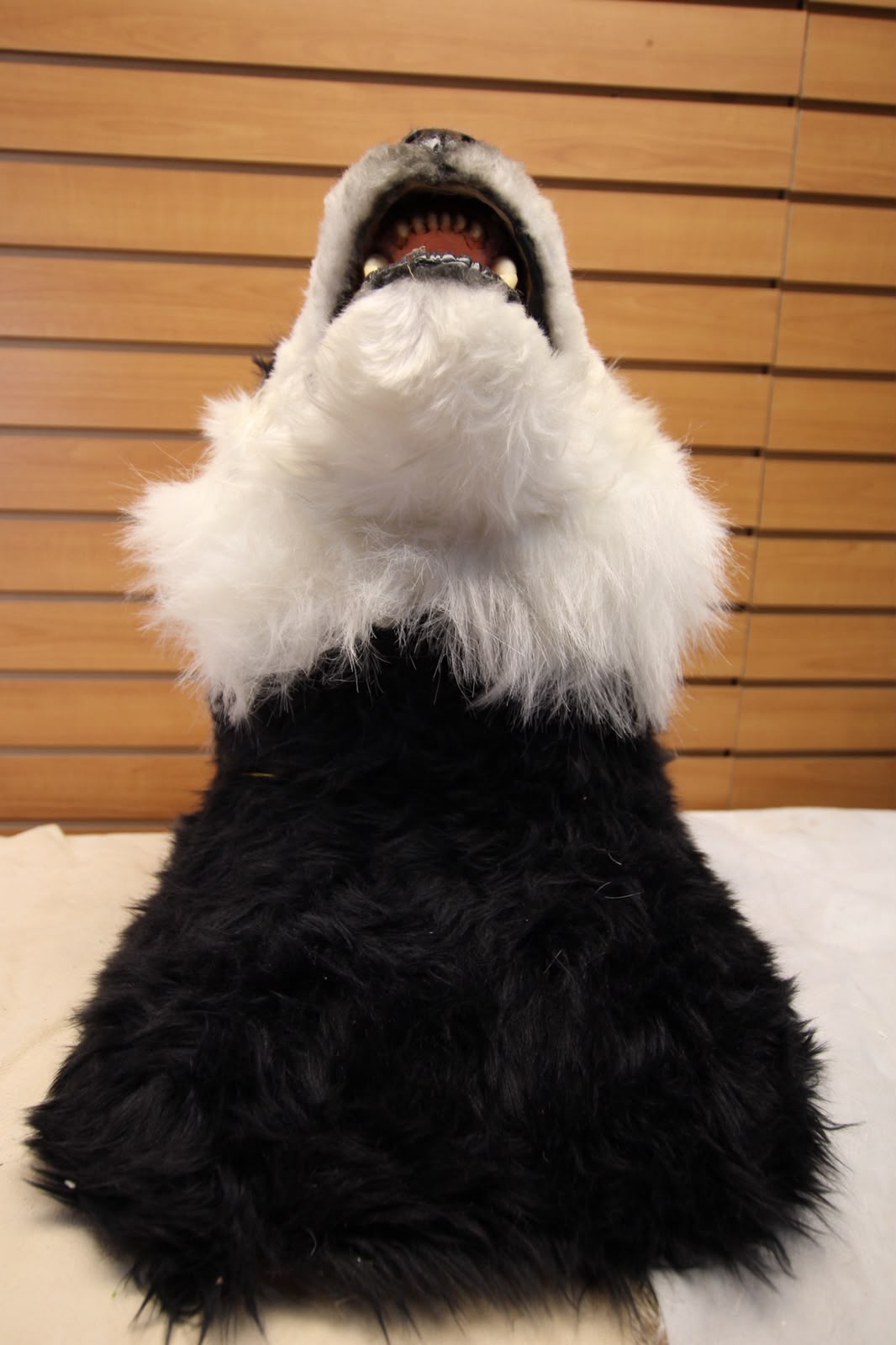 FJRB06 - reproduction Taxidermy Giant Panda Shoulder Mount