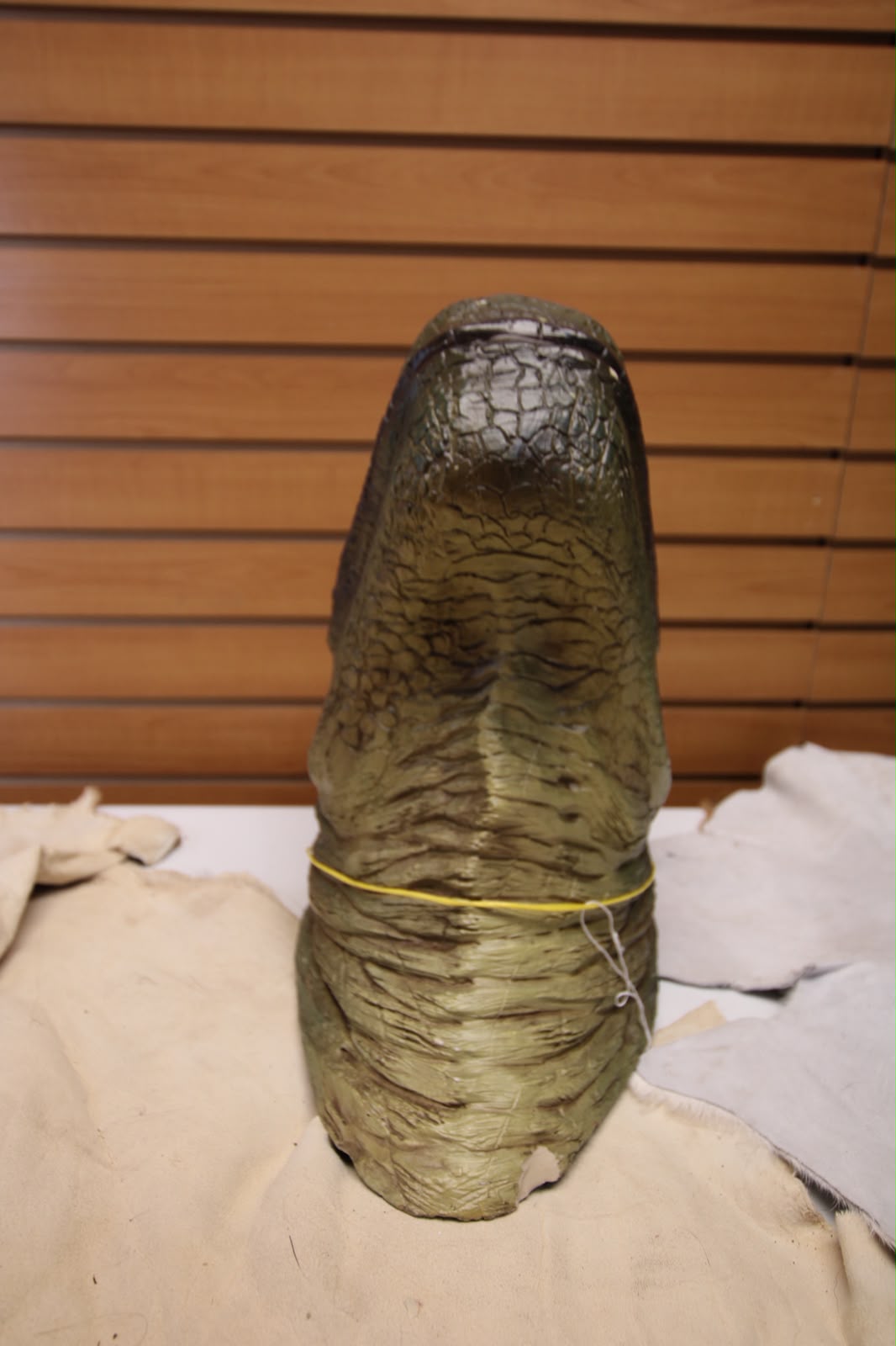 Dinosaur 2 - Museum-Grade Taxidermy-Style Velociraptor Head Mount