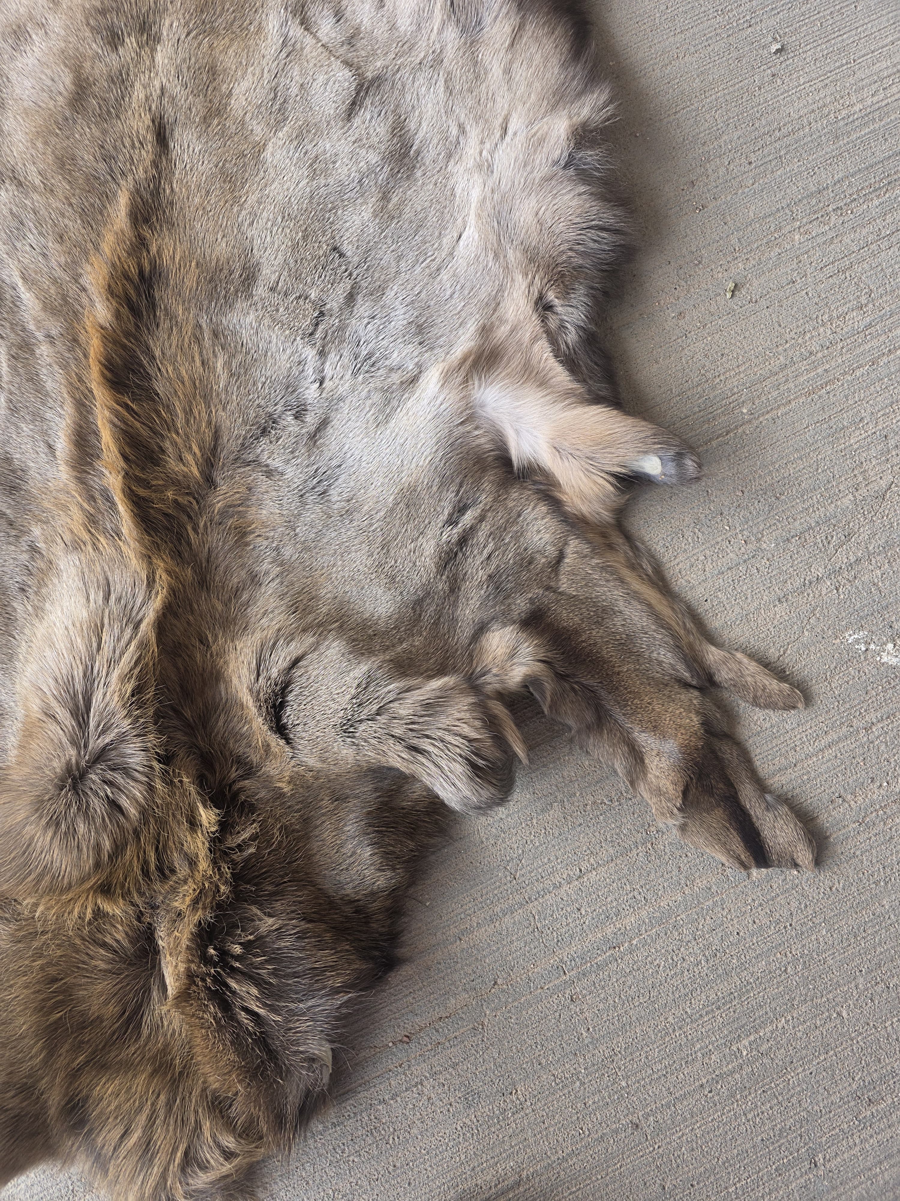 FHRAN86 - Elk Hide Pelt Fur – 48” x 29”