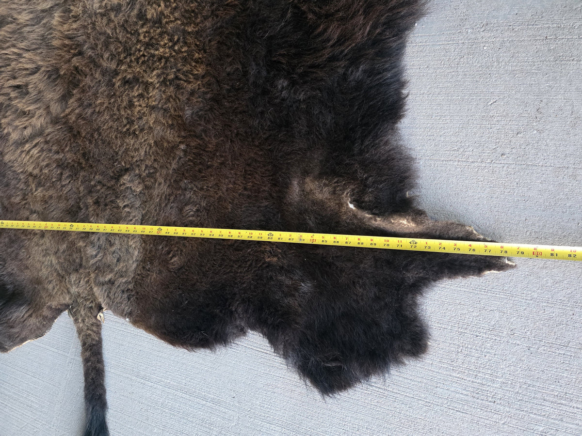 Fhsp108 - Buffalo Taxidermy Hide Rug