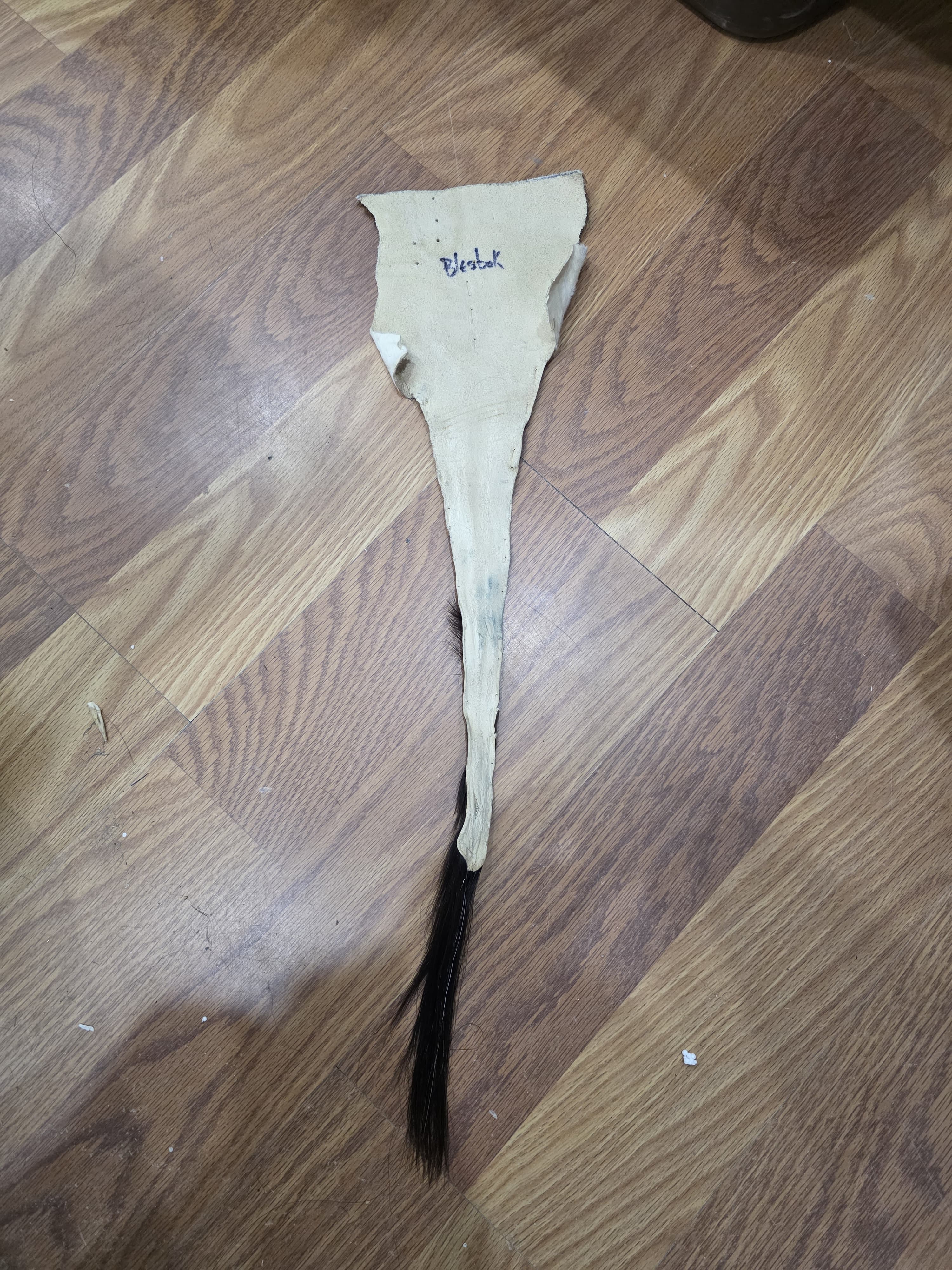 JVTL11 - Blesbok Tail – 25” Rustic Decorative Display