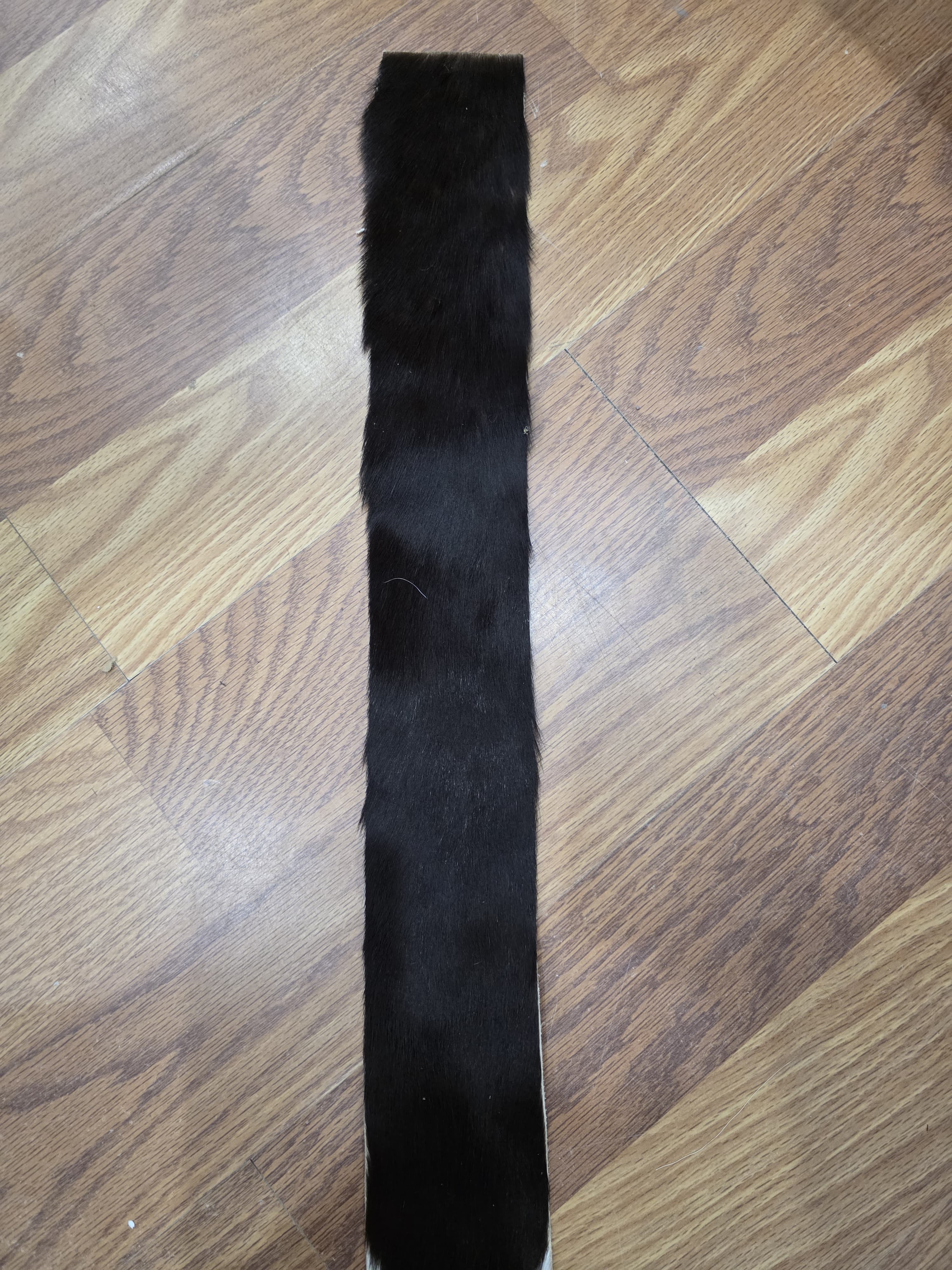 JVTL5 - African Sable Tail 46" – Authentic Natural Sable Antelope Tail | Premium Wildlife Taxidermy & Rustic Lodge Decor Piece