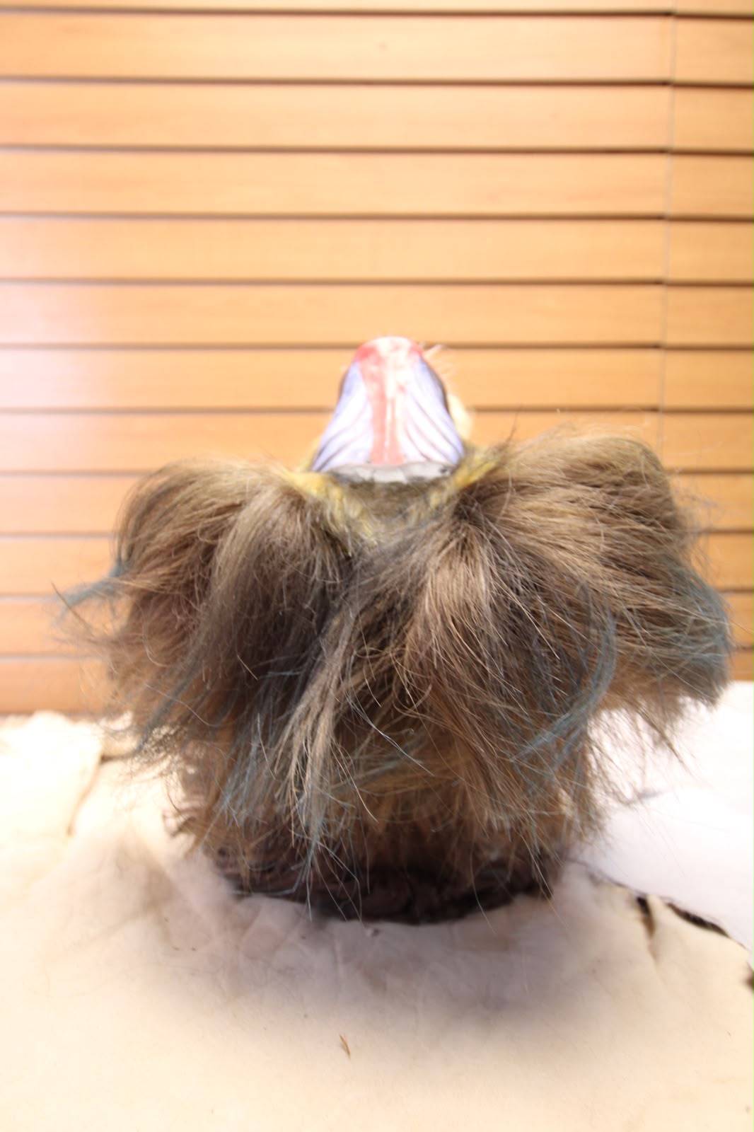 FHRBB09 - Reproduction mandrill monkey taxidermy mount