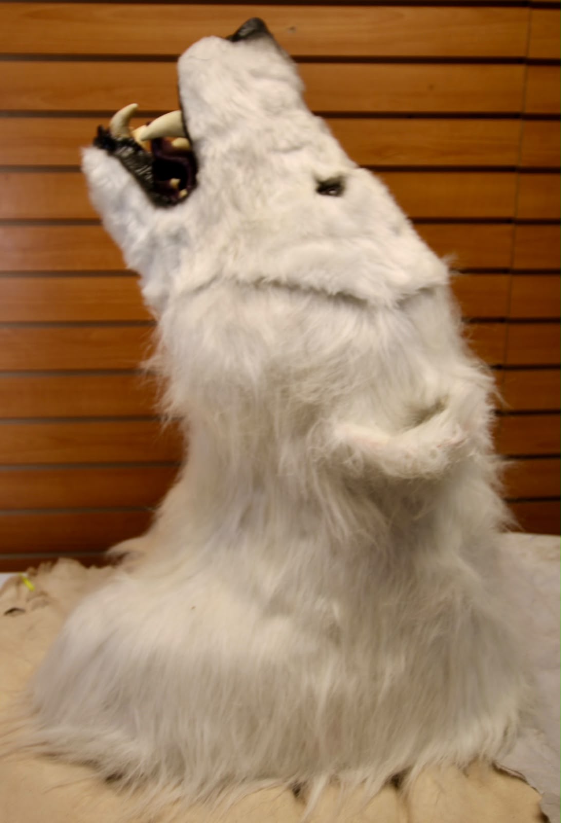 FHRB05 - reproduction Taxidermy Polar Bear Shoulder Mount