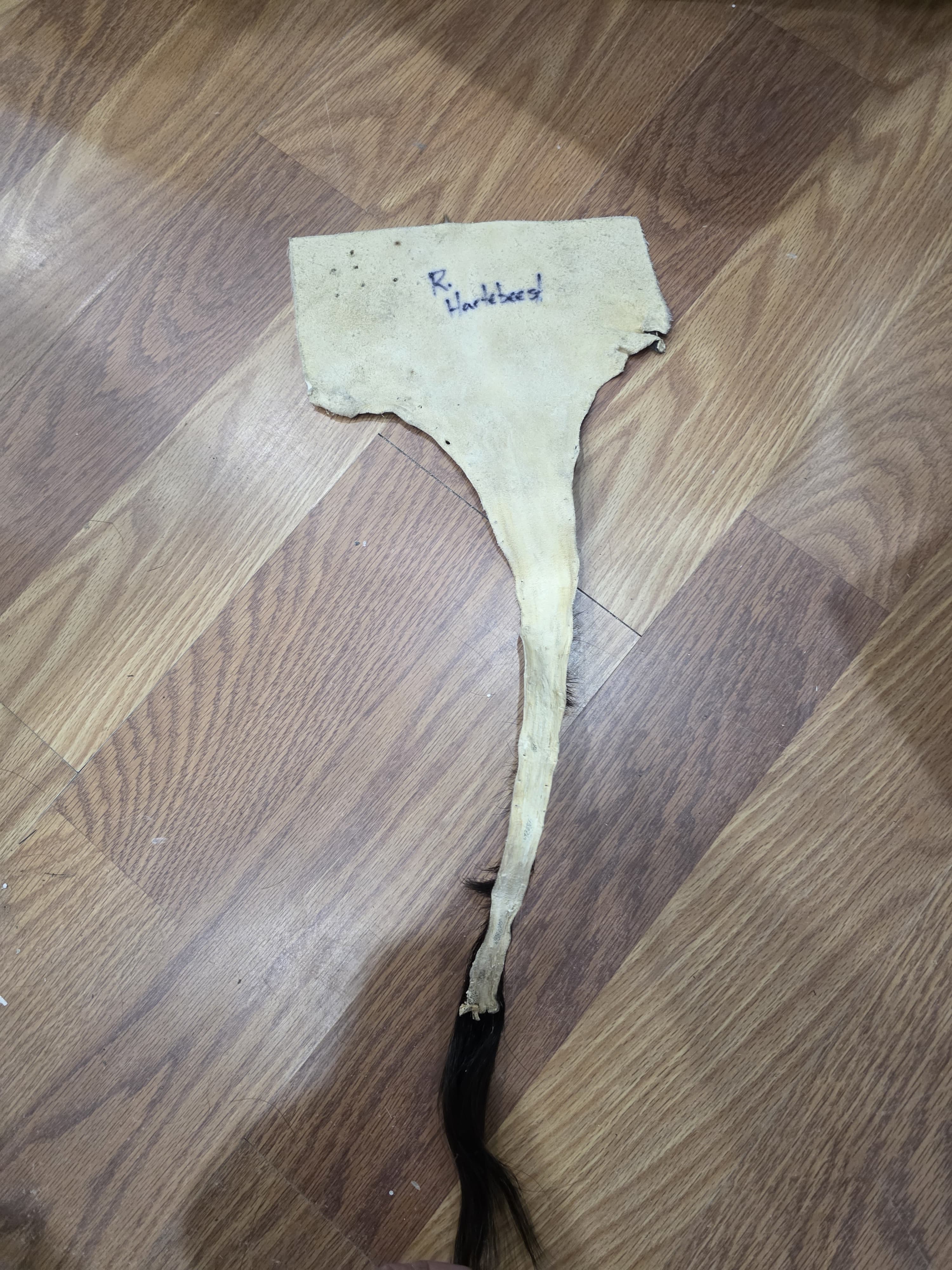 JVTL9 - Red Hartebeest Tail – 27” Rustic Decorative Display