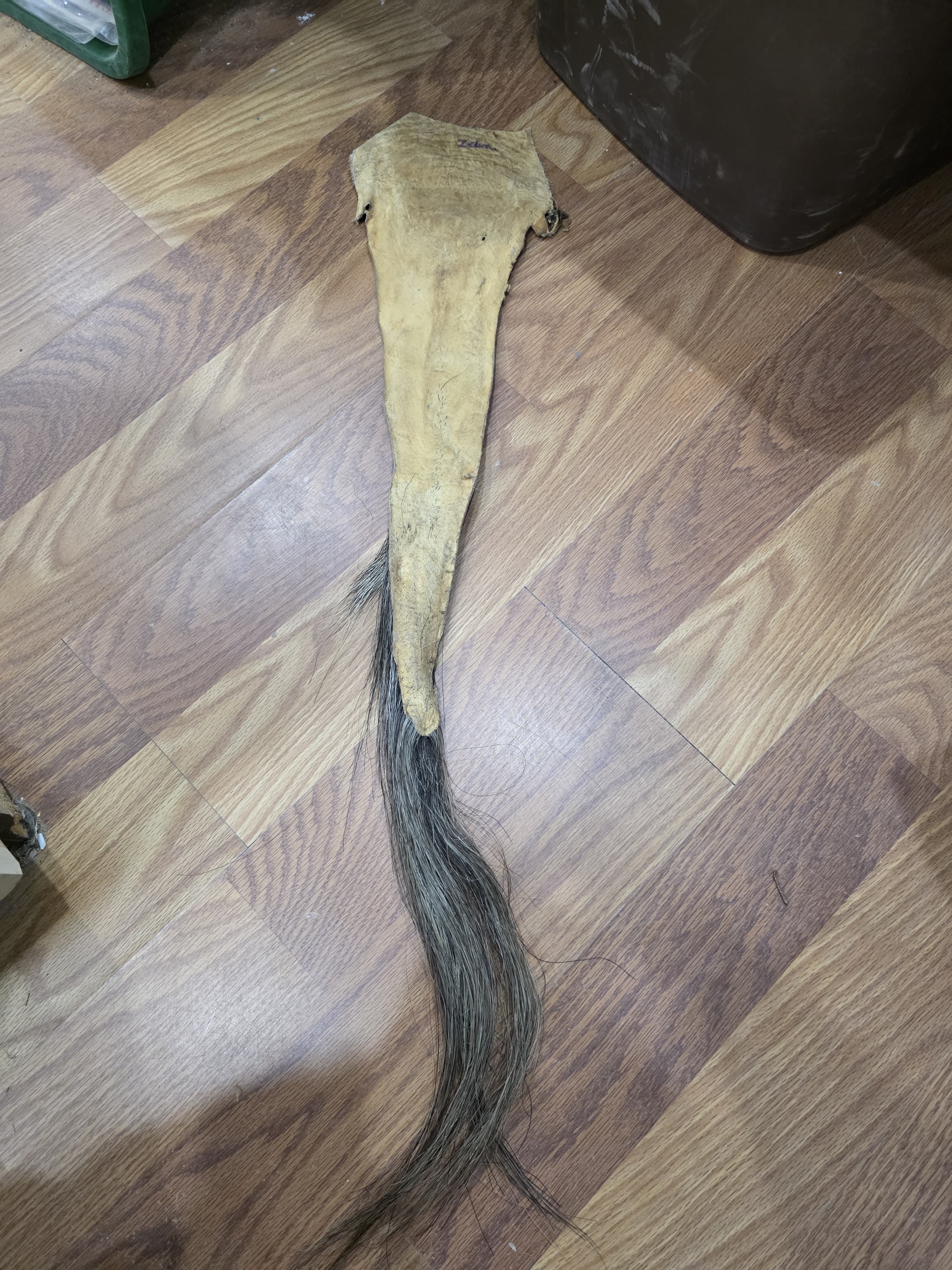 JVTL1 - Zebra Tail 36" | Authentic Wildlife Display
