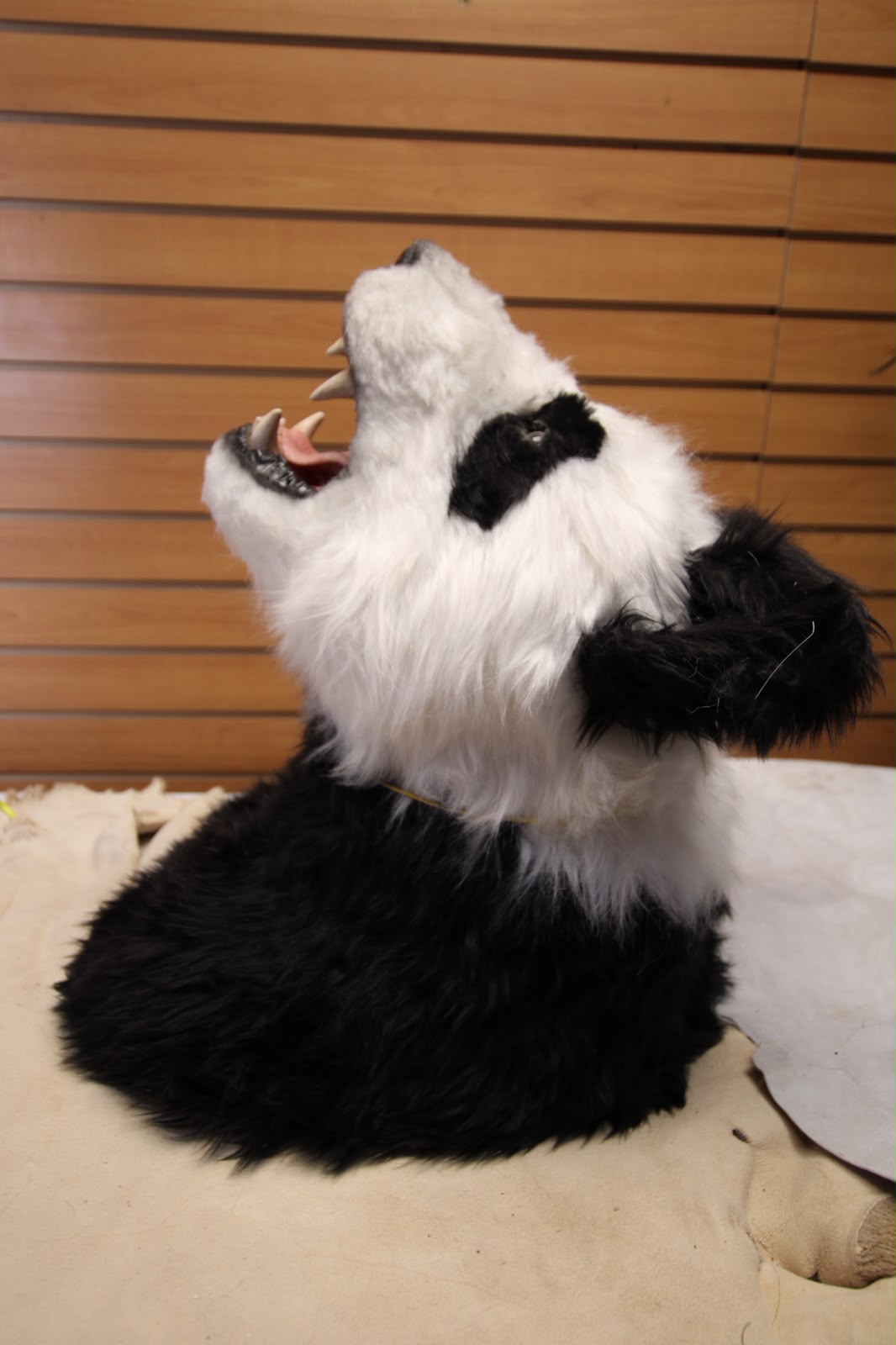 FHRB01 - reproduction Taxidermy Giant Panda Shoulder Mount