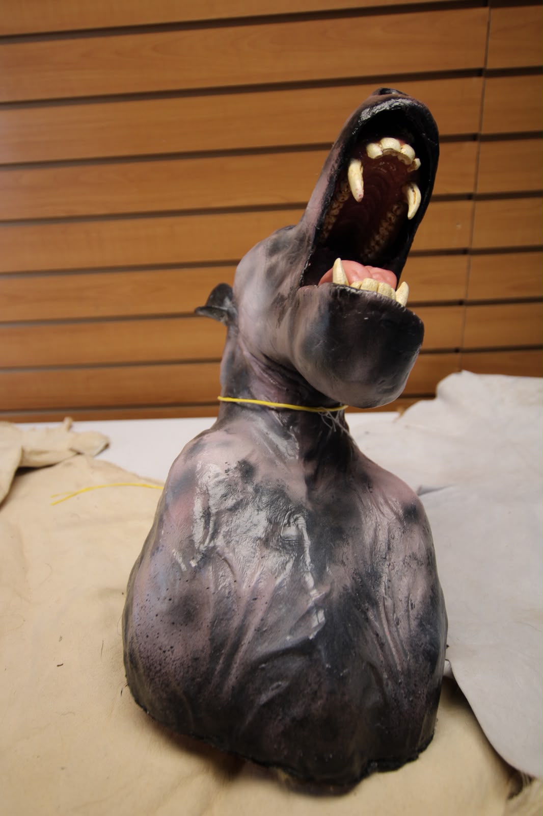 FHRBB06 - reproduction Artisanal Taxidermy Dog Specimen
