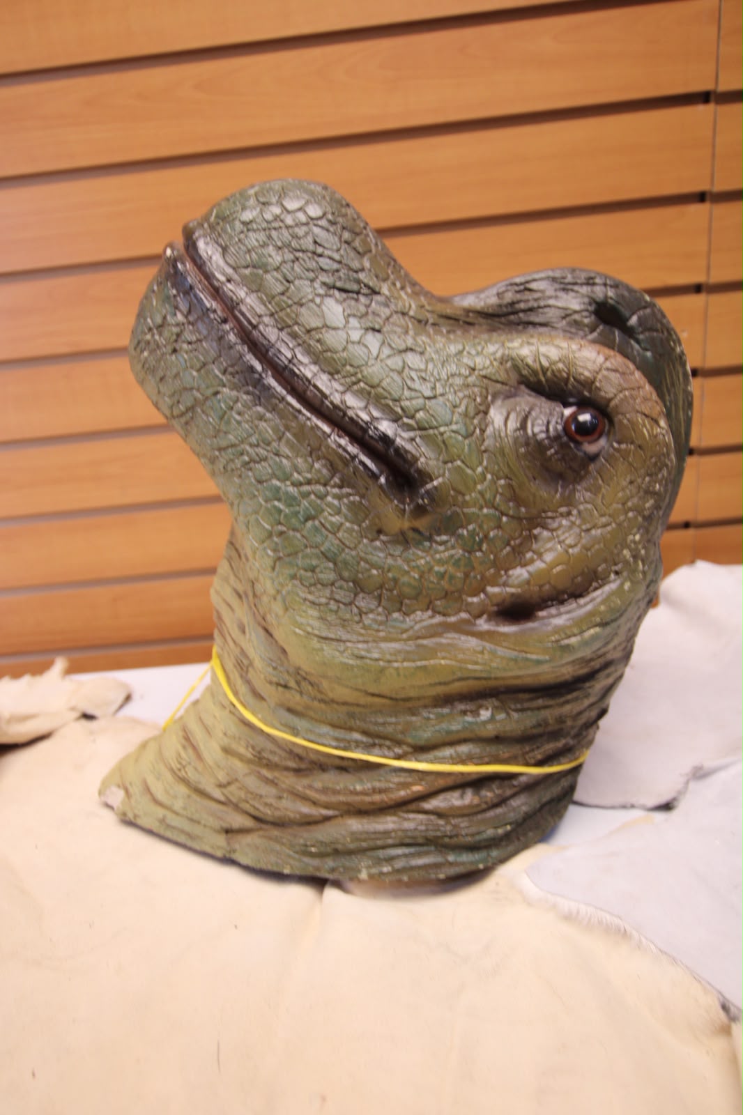 Dinosaur 2 - Museum-Grade Taxidermy-Style Velociraptor Head Mount