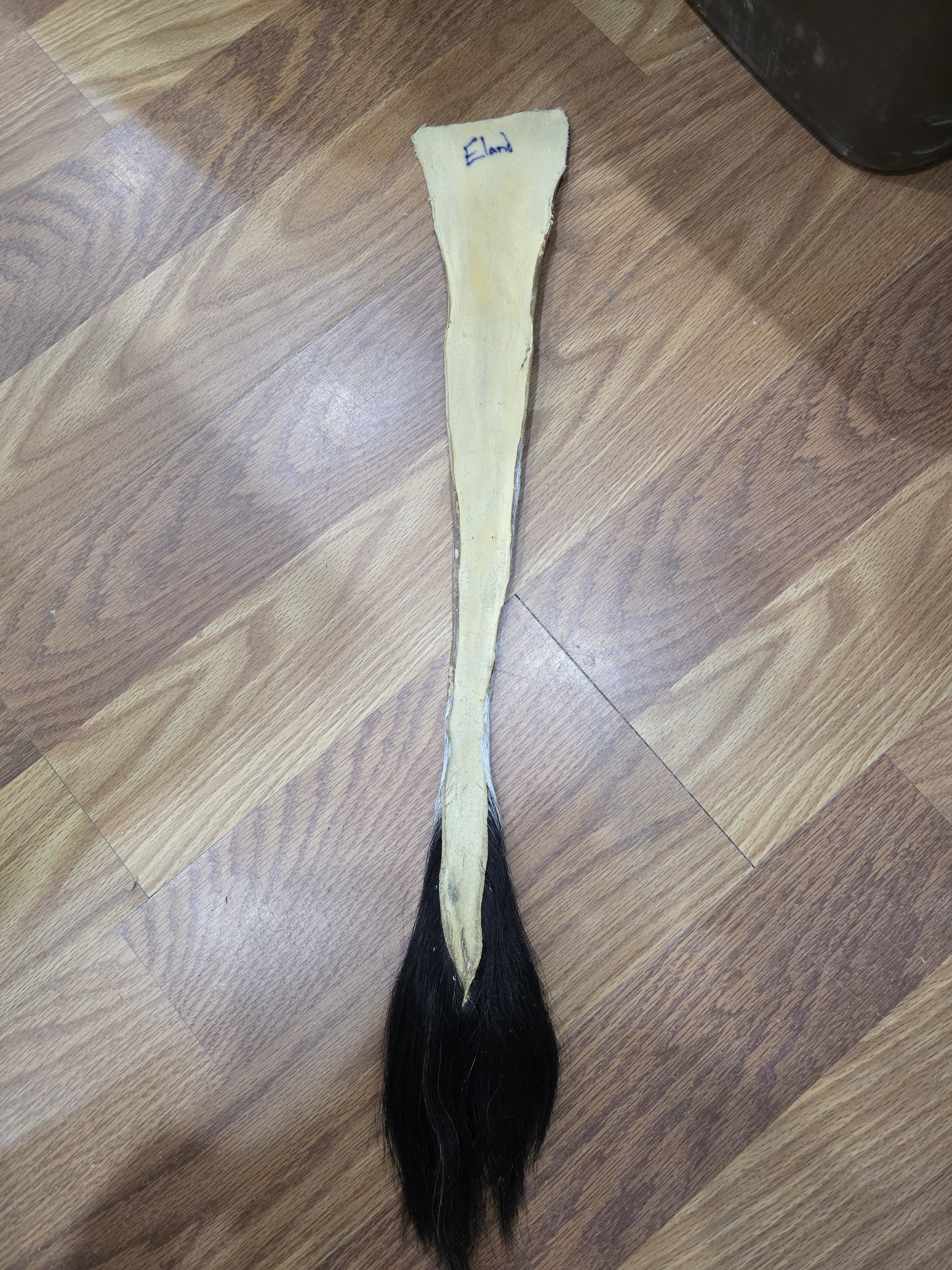 JVTL6 - Eland Tail 27" – Authentic Natural African Antelope Tail | Rustic Wildlife Decor & Taxidermy Display Piece