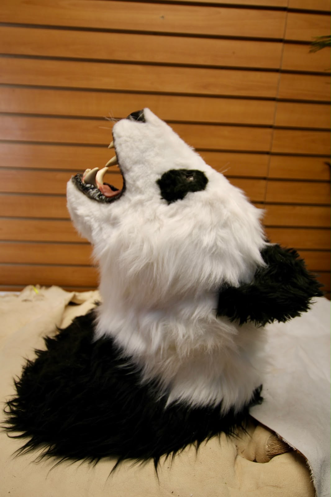 FHRB07 - reproduction Taxidermy Giant Panda Shoulder Mount