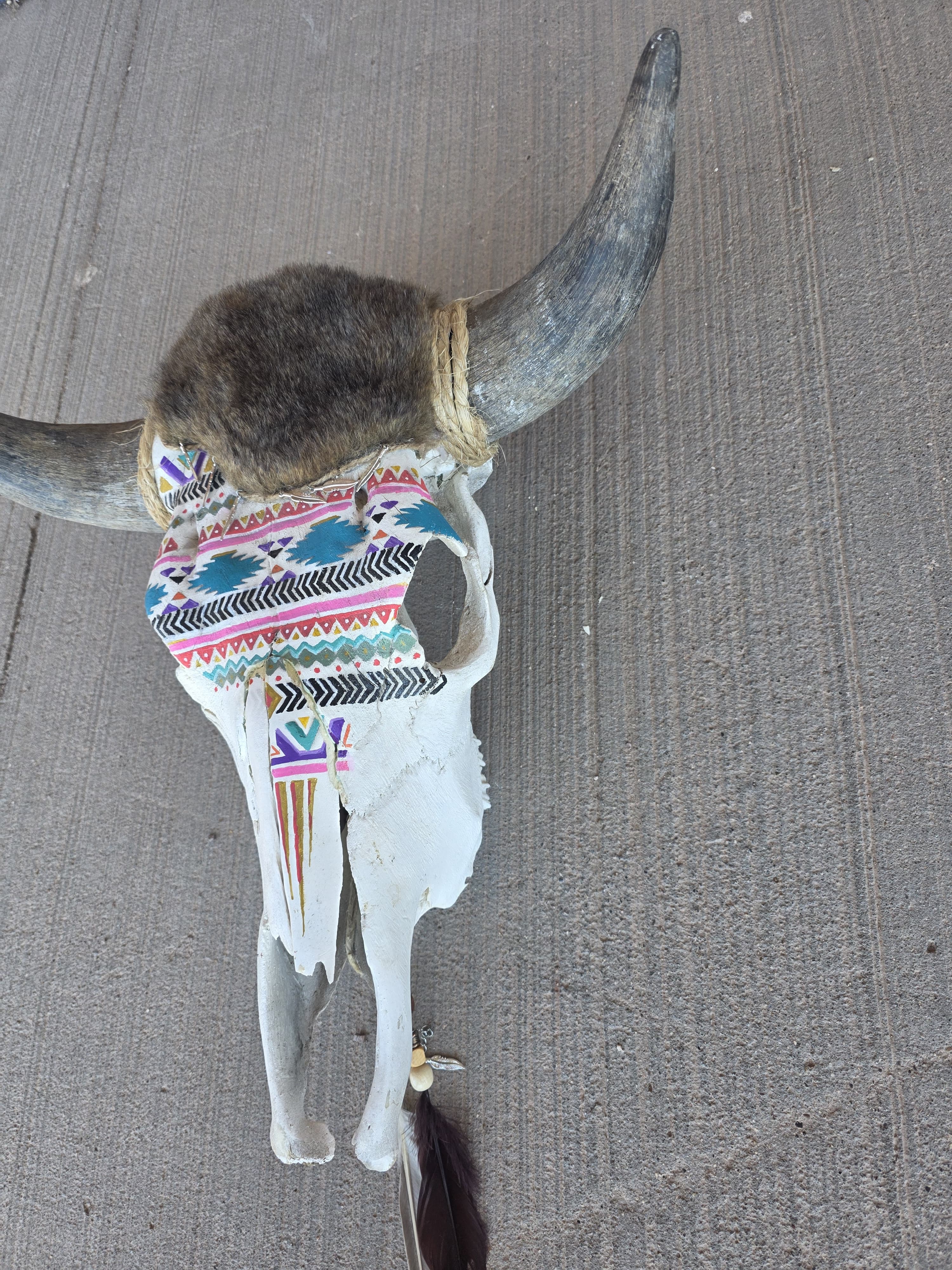 FHRAN80 - Geometric Tribal Cow Skull