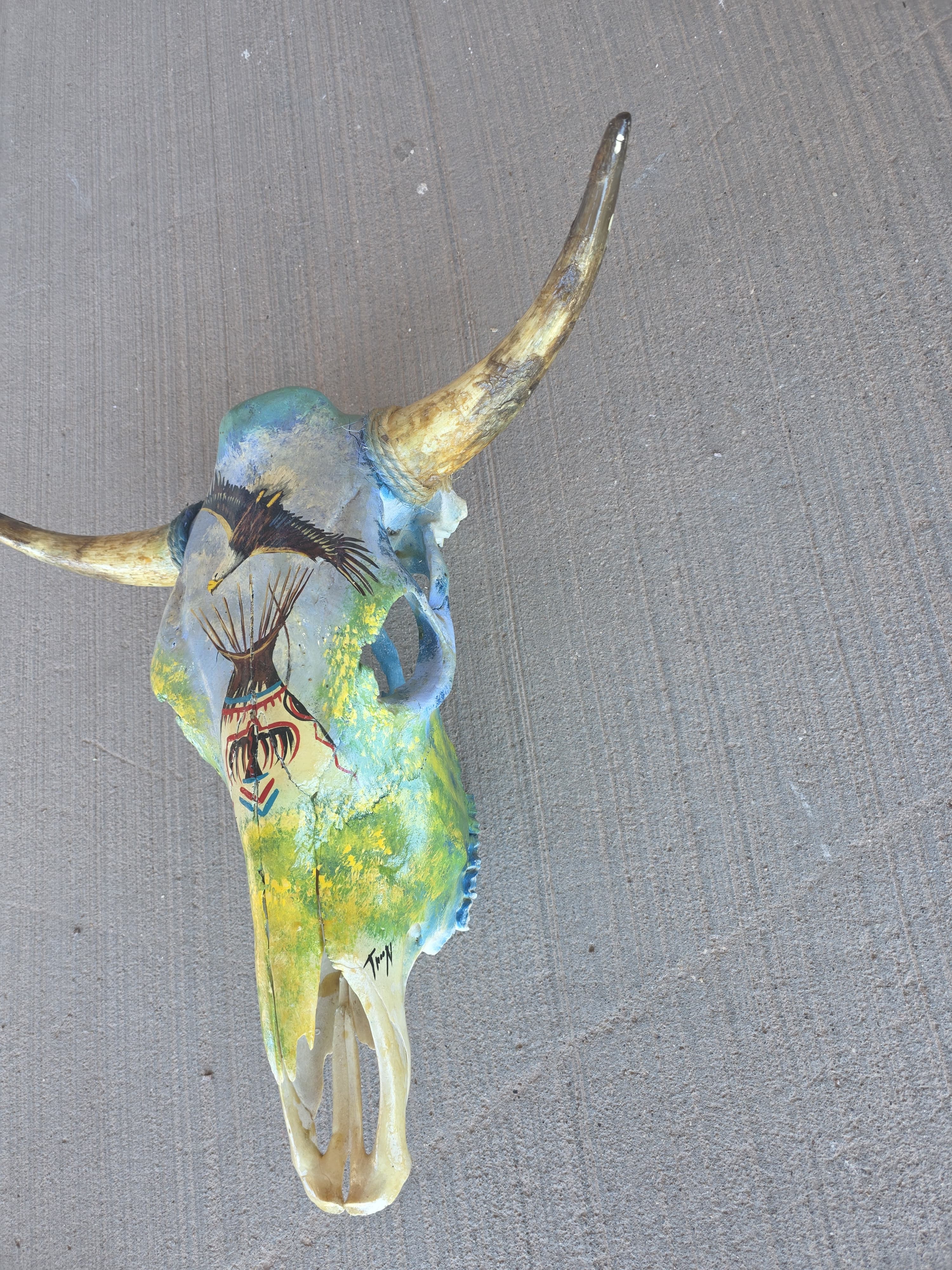 FhRAN81 - Hand-Painted Wilderness Scene Cow Skull
