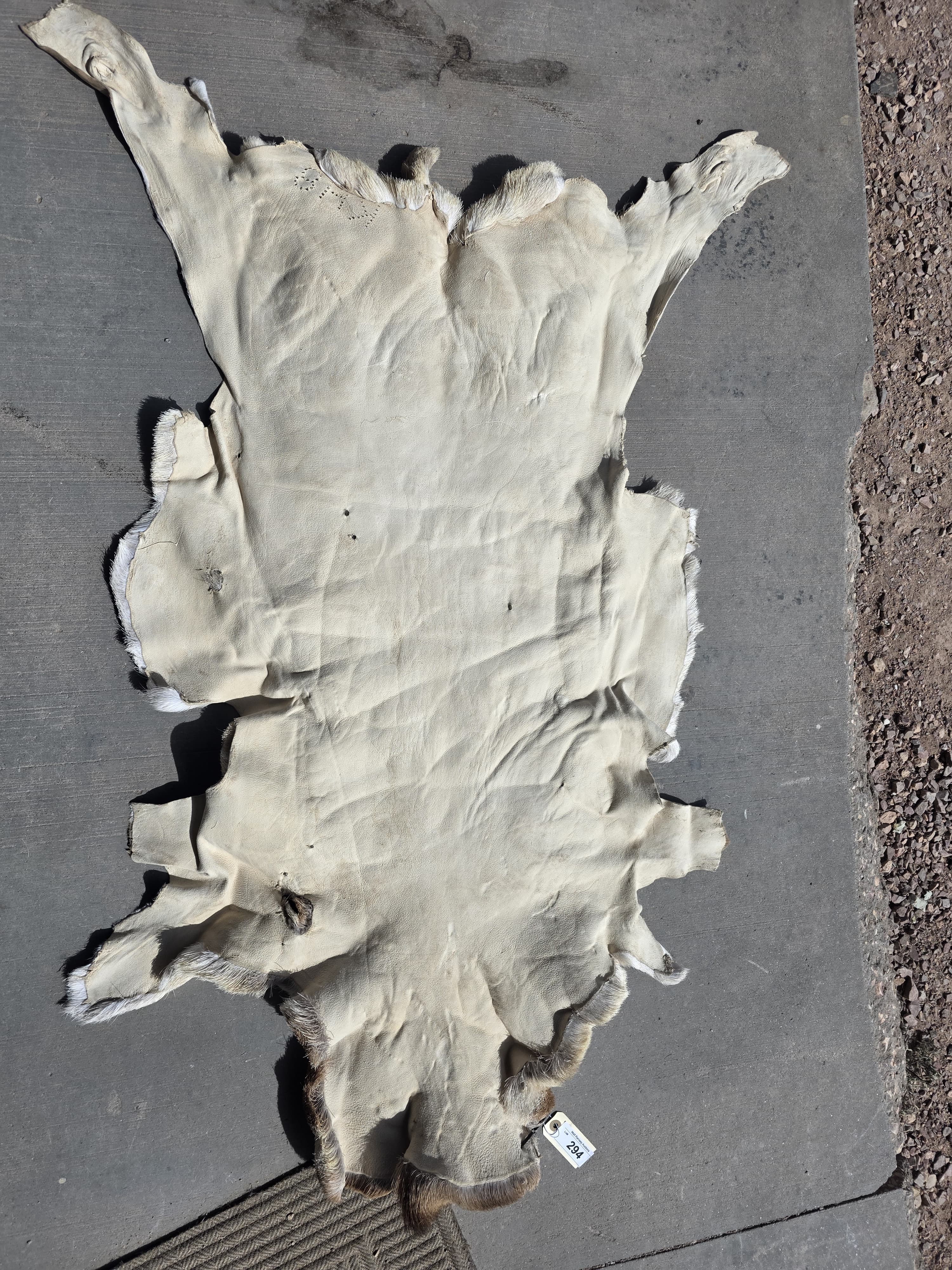 FHRAN90 - Natural Pronghorn Antelope Hide / Fur – 43” x 27”