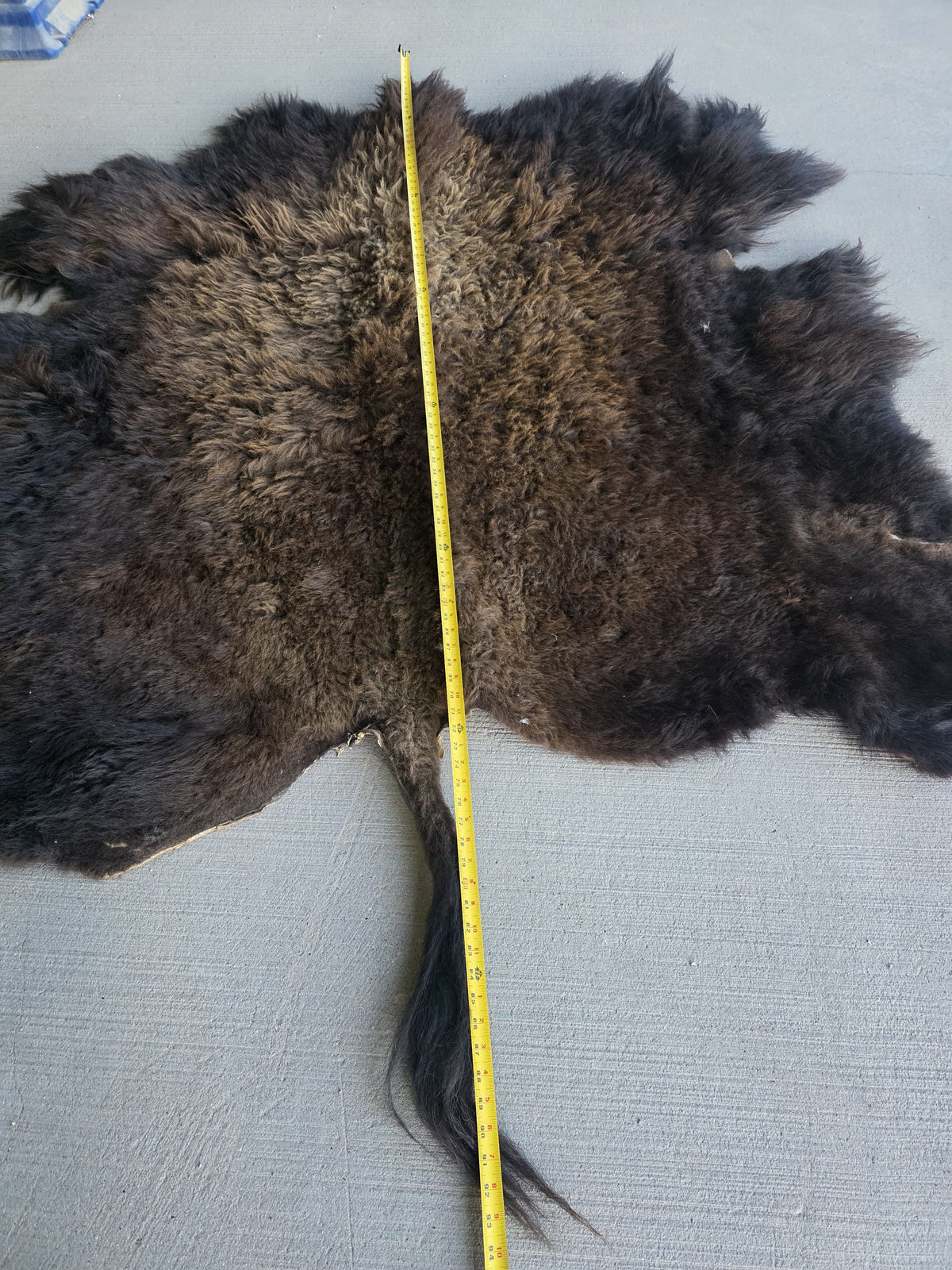Fhsp108 - Buffalo Taxidermy Hide Rug