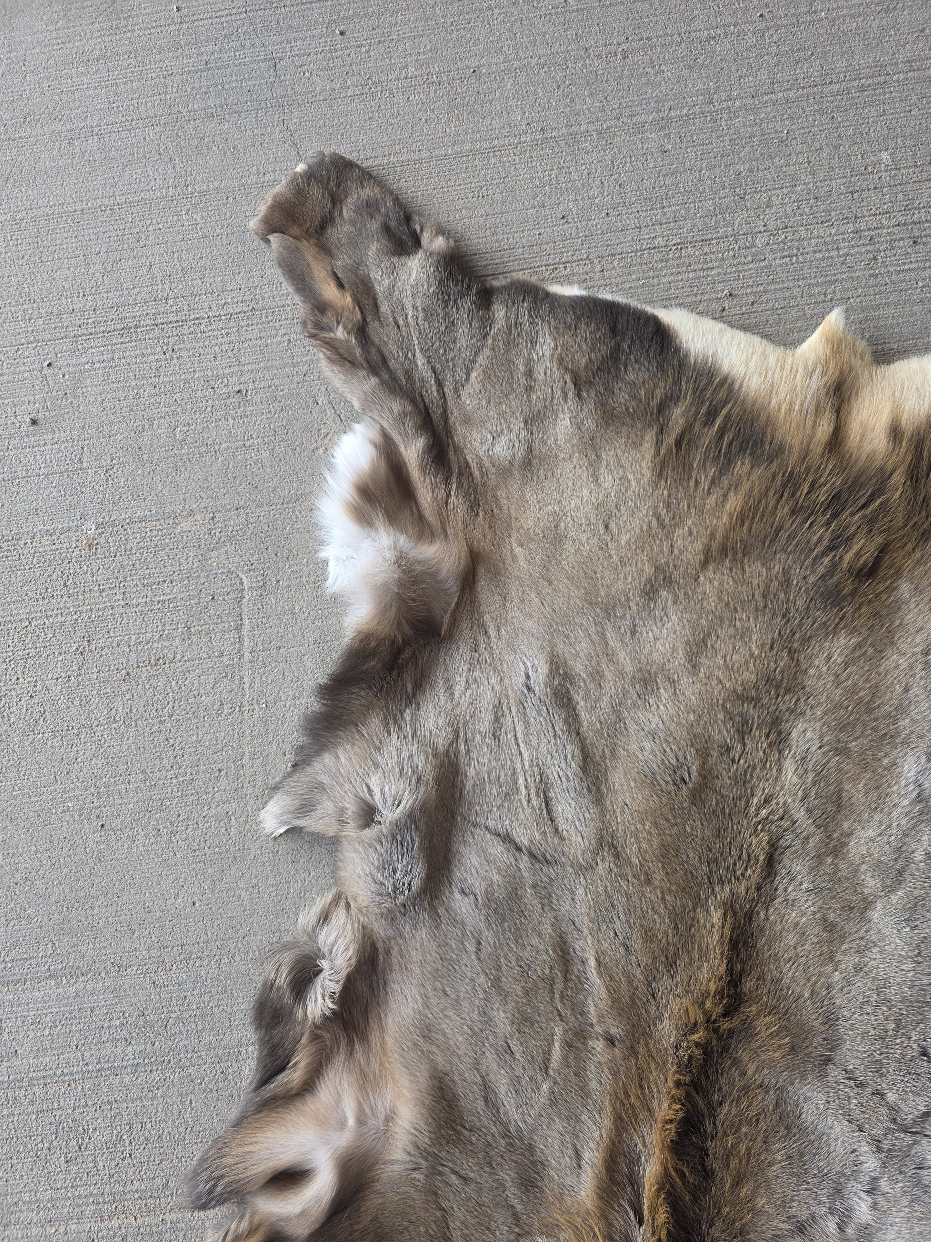 FHRAN86 - Elk Hide Pelt Fur – 48” x 29”