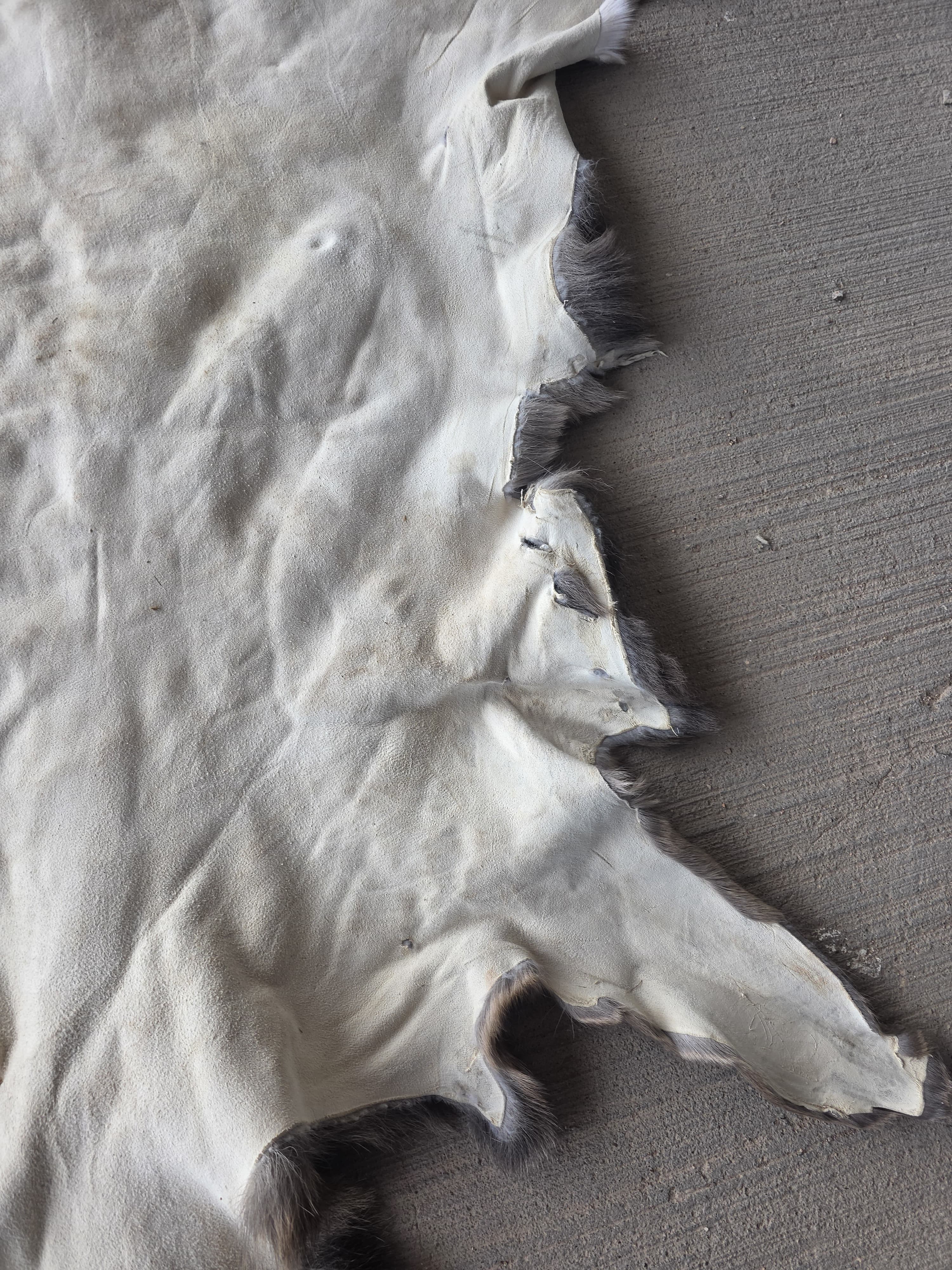 FHRAN86 - Elk Hide Pelt Fur – 48” x 29”