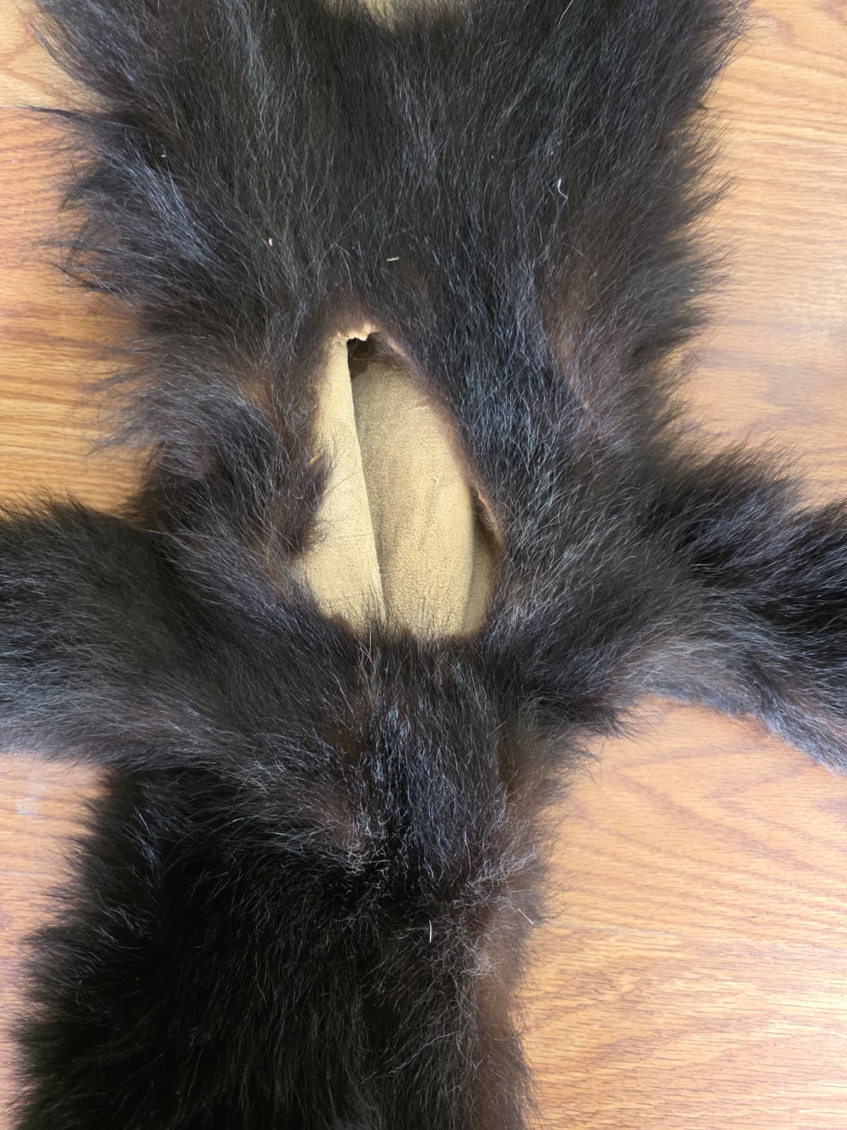 Fhcm105 - Bear Cub Hide Taxidermy – 45” Long Natural Display