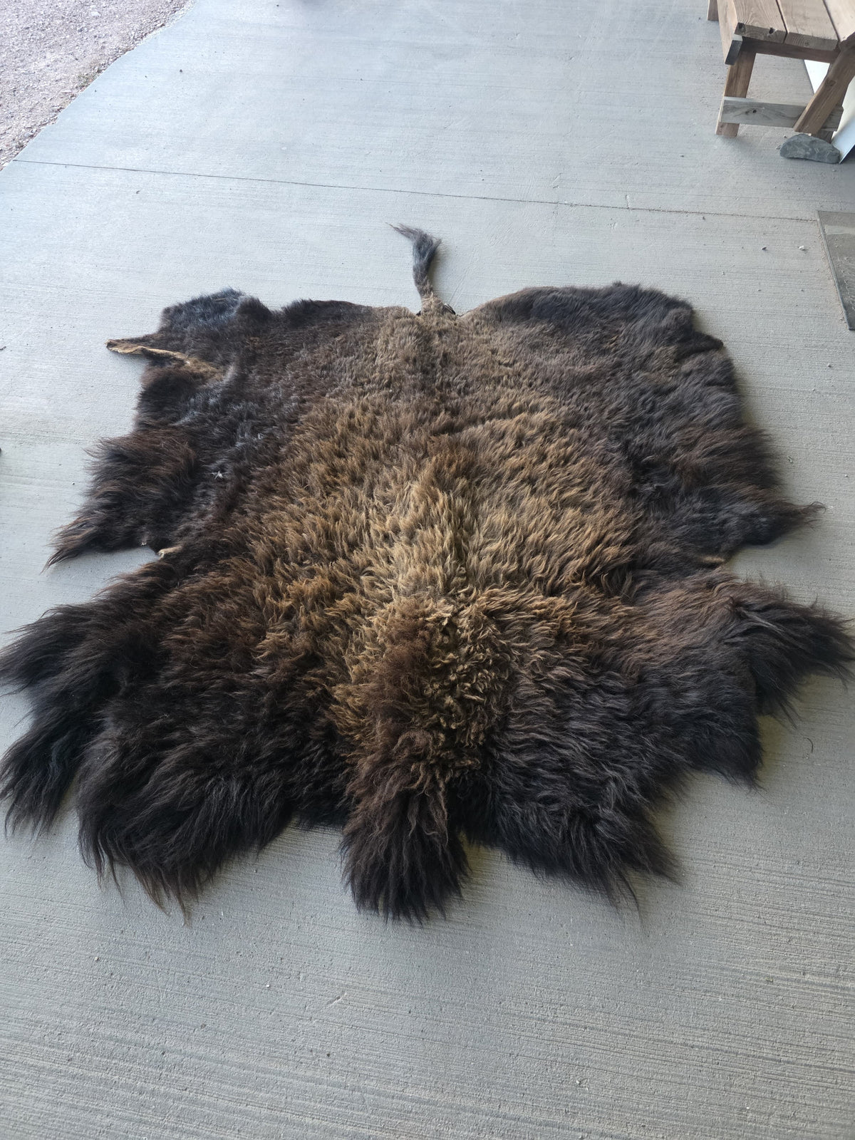 Fhsp108 - Buffalo Taxidermy Hide Rug