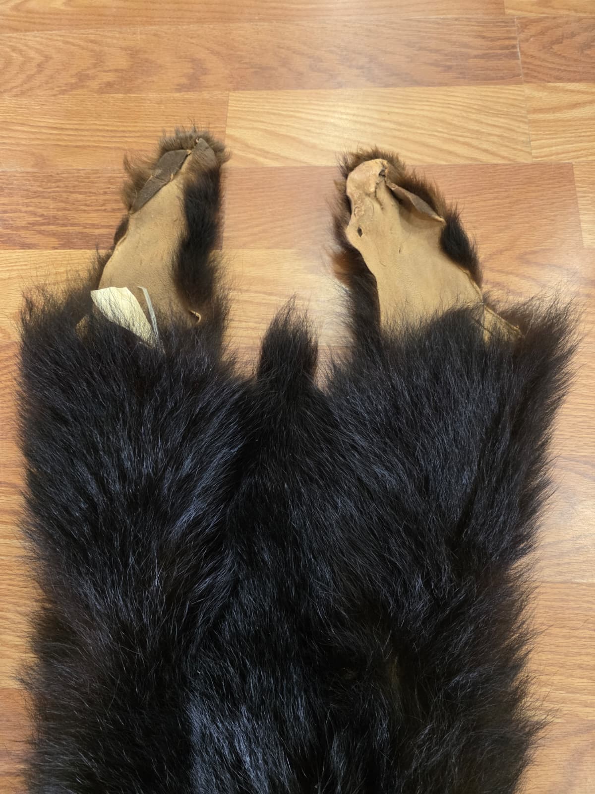 Fhcm105 - Bear Cub Hide Taxidermy – 45” Long Natural Display