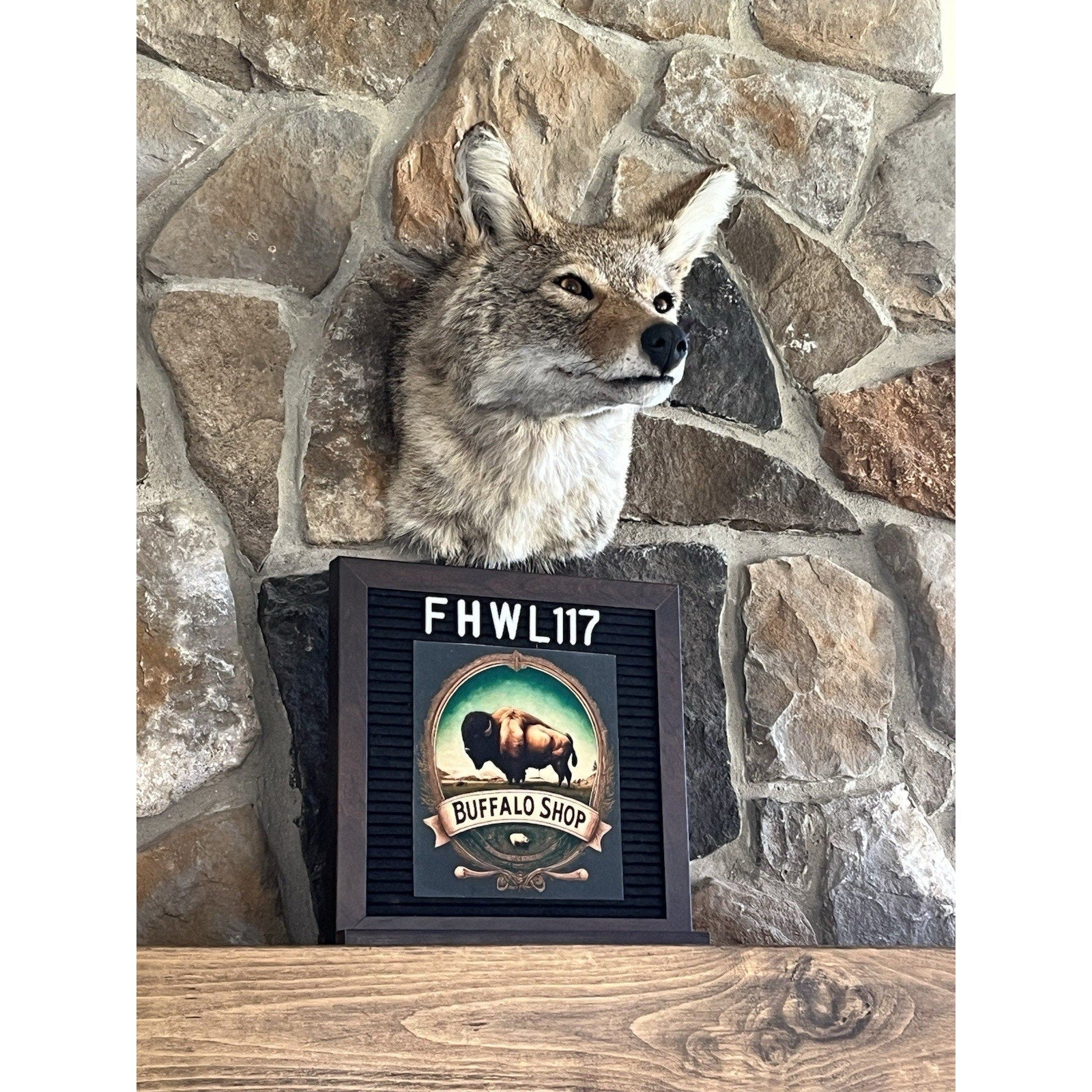 FHWL117 - Coyote Shoulder Museum Quality mount Taxidermy Sneak Pose