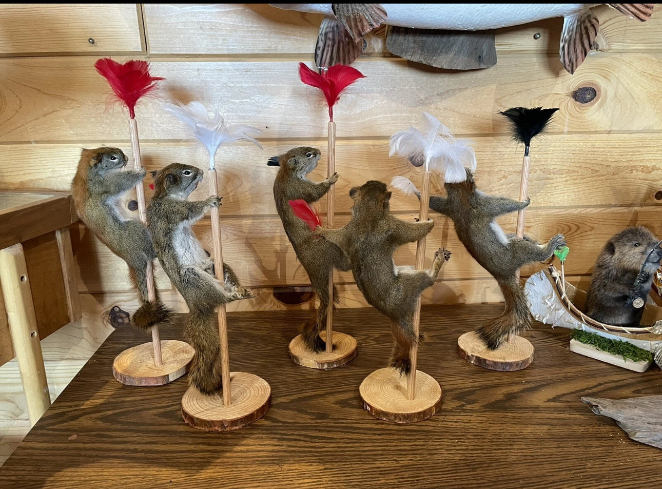 FHSQ818 - Beautiful Dancing Red Squirrel Small Animal Taxidermy Mount Art Wildlife