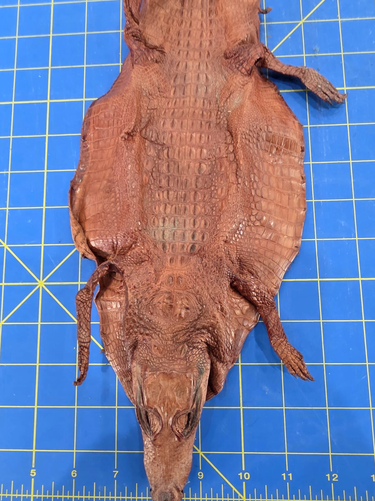 JVN2 - Dyed Alligator Skin Pelt Leather