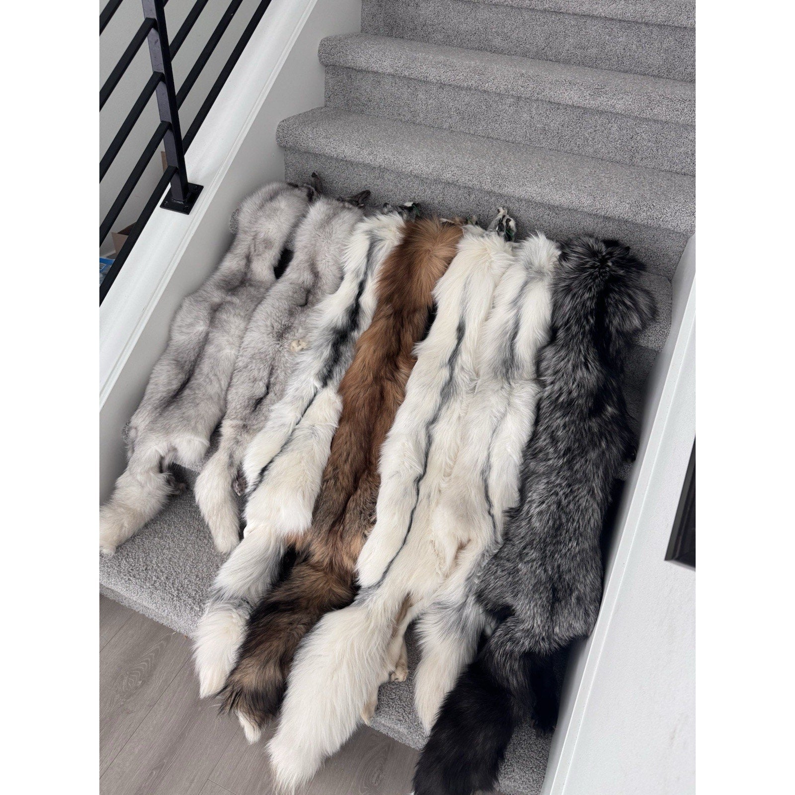 FHJAY793 - Mountable Premium Fox Full Body Hide For Taxidermy