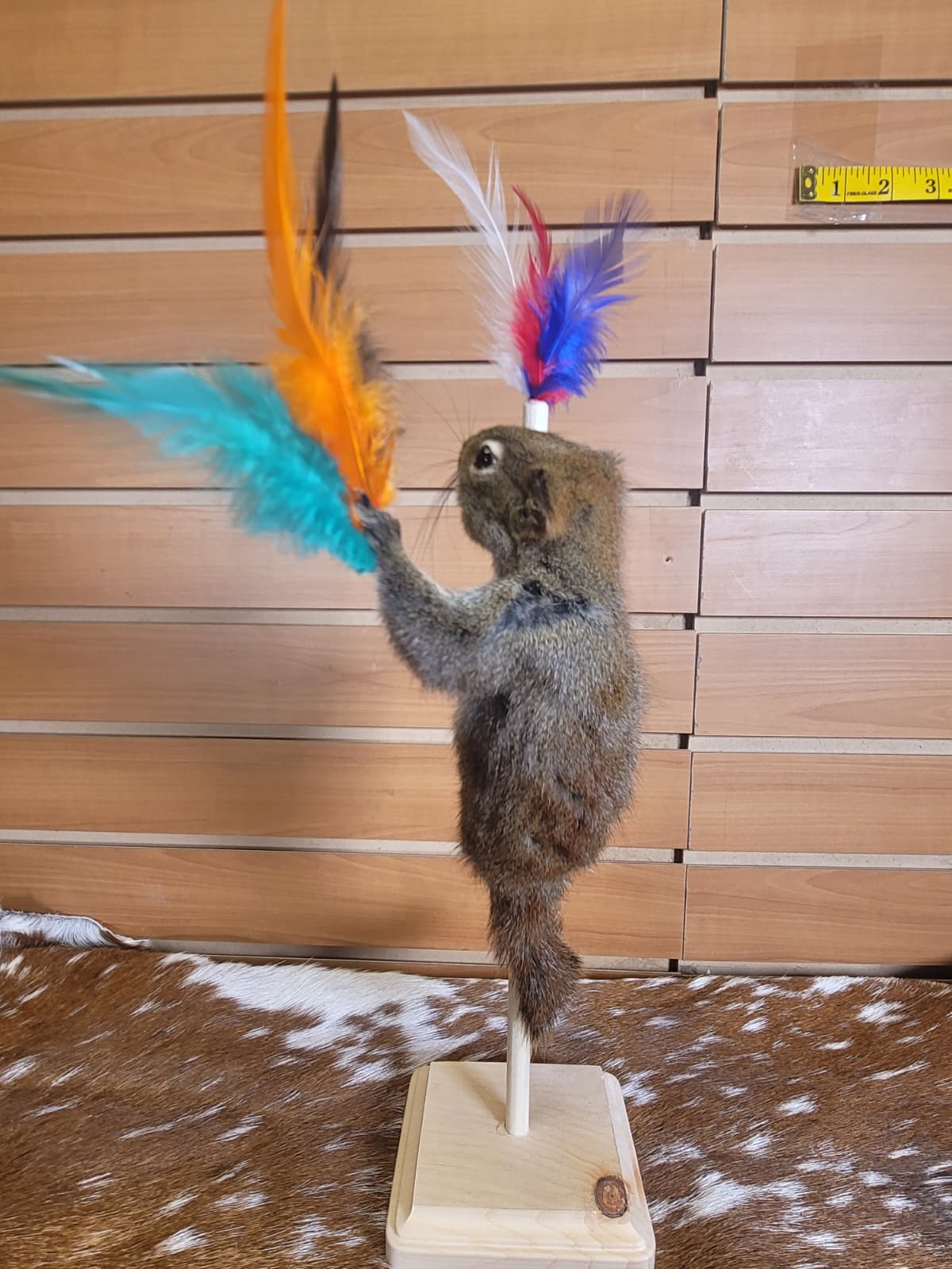FHSQ301 - Stripping American Red Squirrel Taxidermy Mount