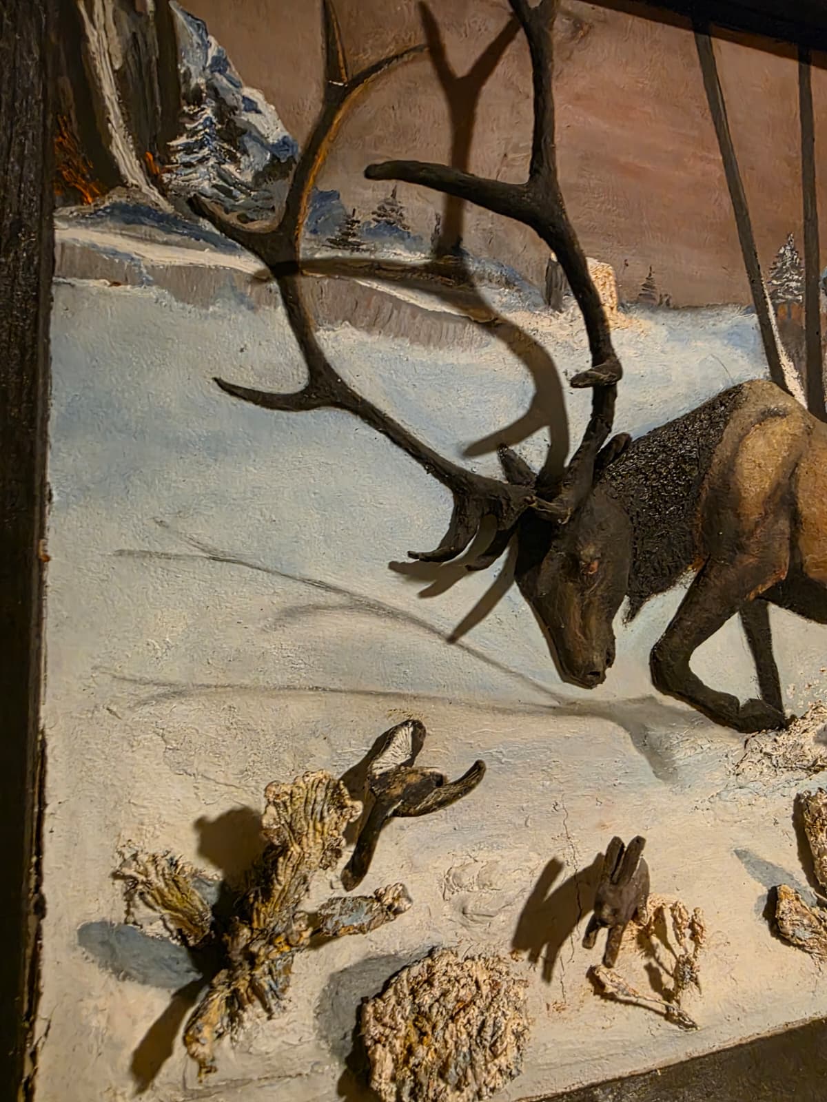 JTV13 - d Elk Antler Panel – 2 Cracked Horns