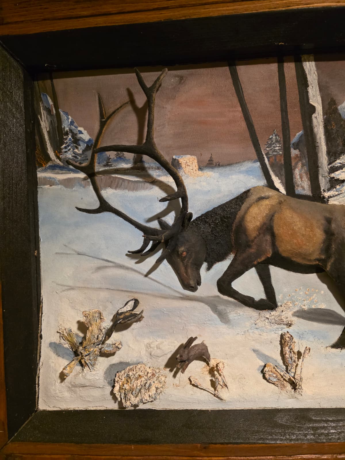 JTV13 - d Elk Antler Panel – 2 Cracked Horns