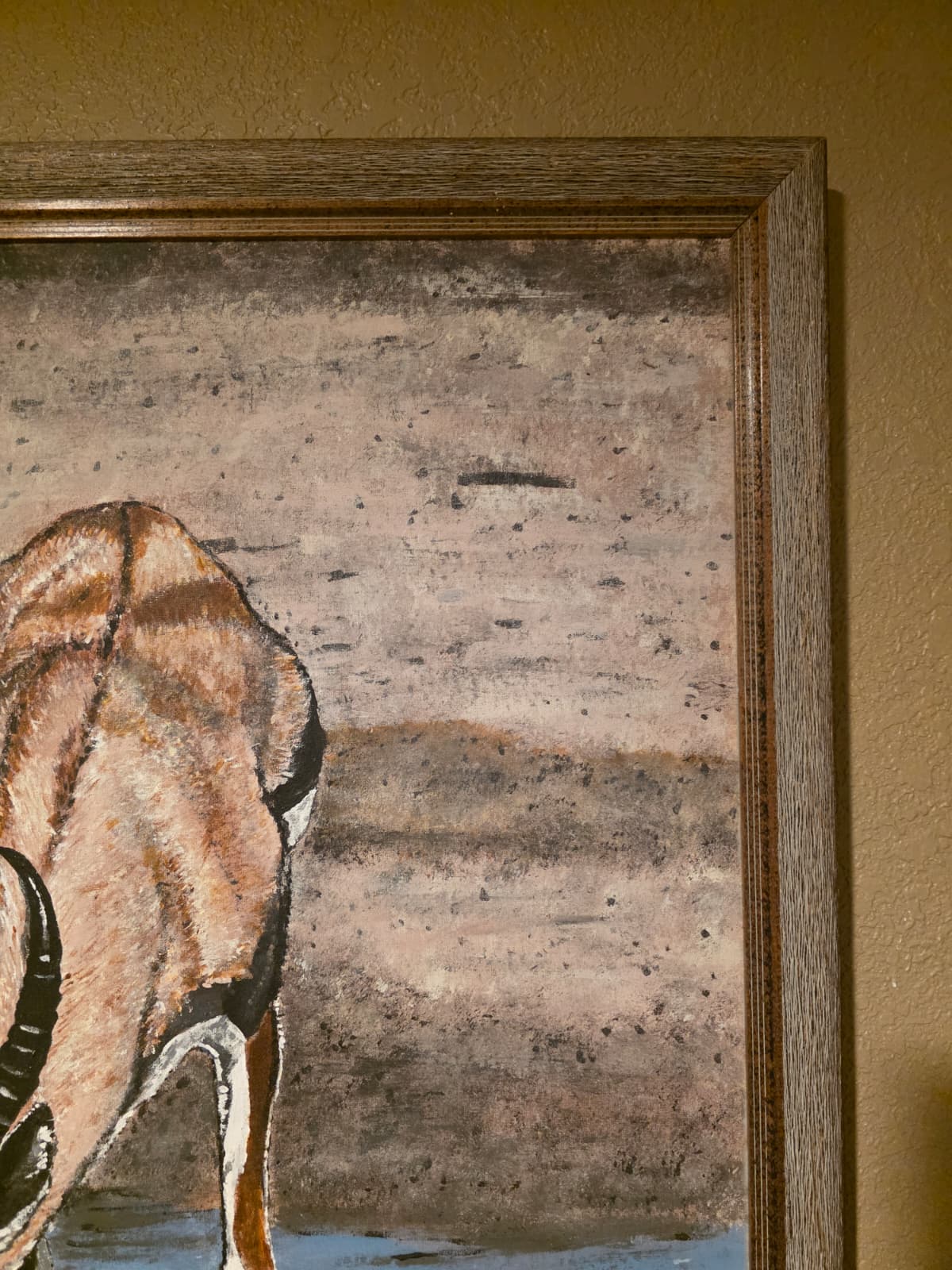FH1 - Framed Wildlife Art – Antelope