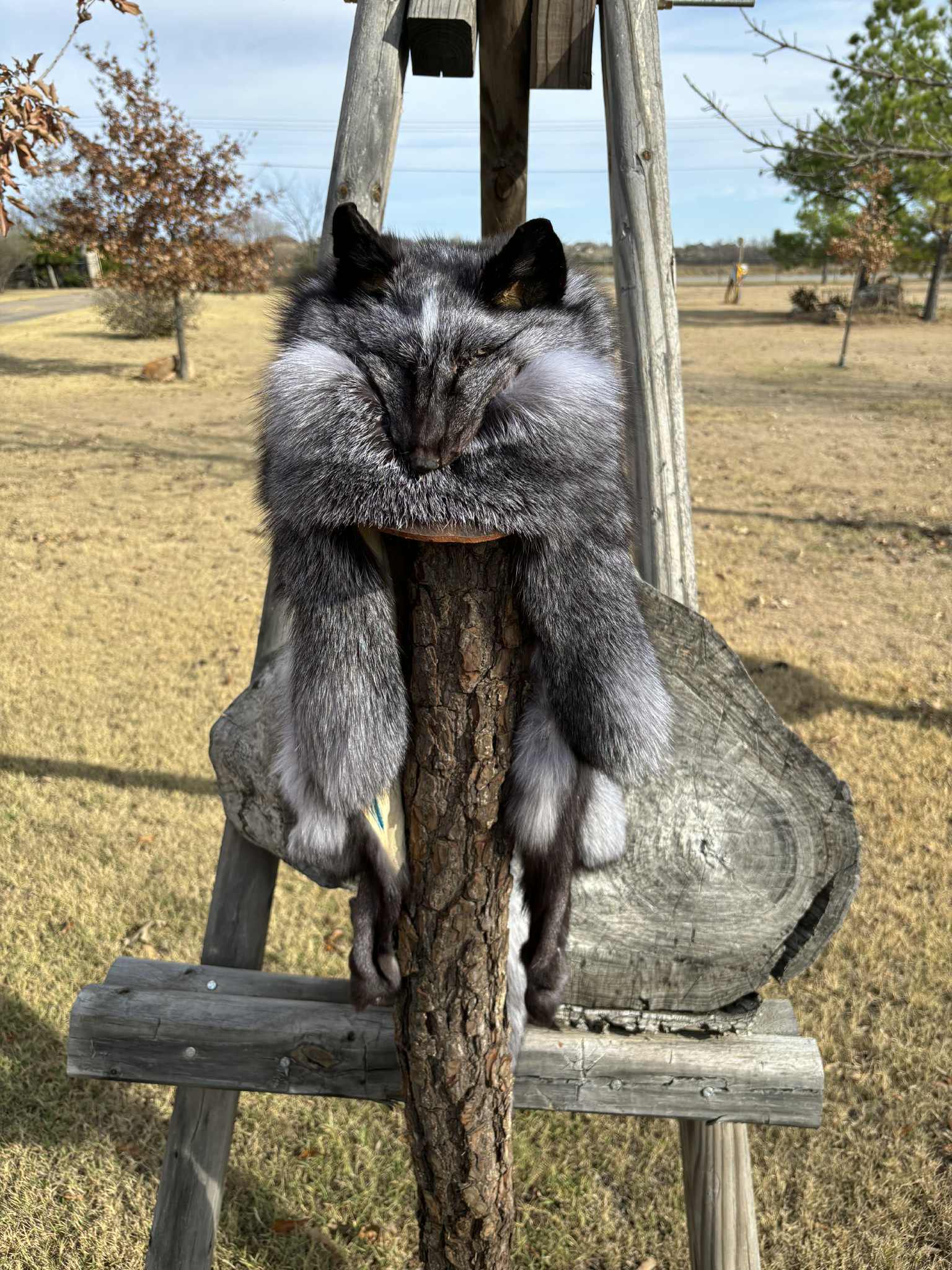 FHMM2 - Artic Marble Fox Drape hat