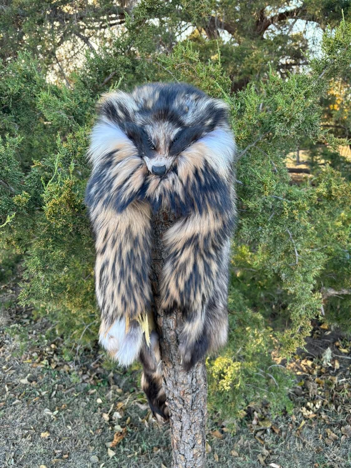 FHMM1 - Finland Raccoon Mountain Man Drape Hat, handcrafted