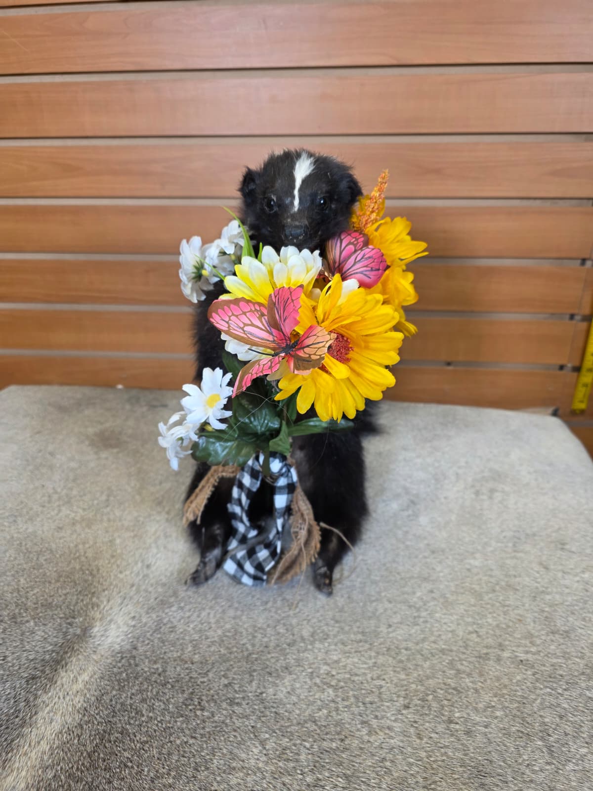 KMSK39 - Full Skunk with Floral Wreath Taxidermy Mount