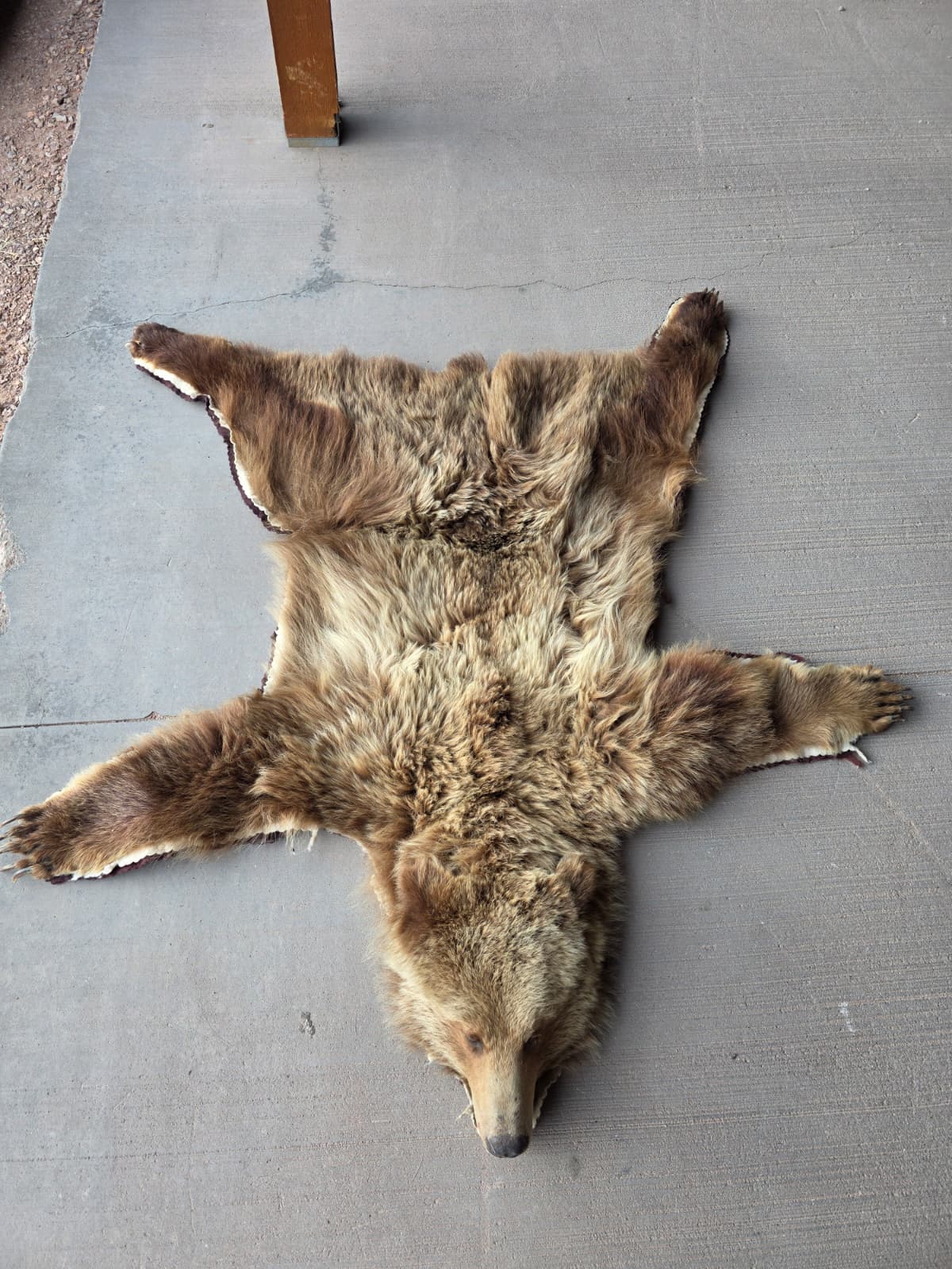 FHAB29 - Griz Taxidermy – Mitchell, SD (Bear Skin)