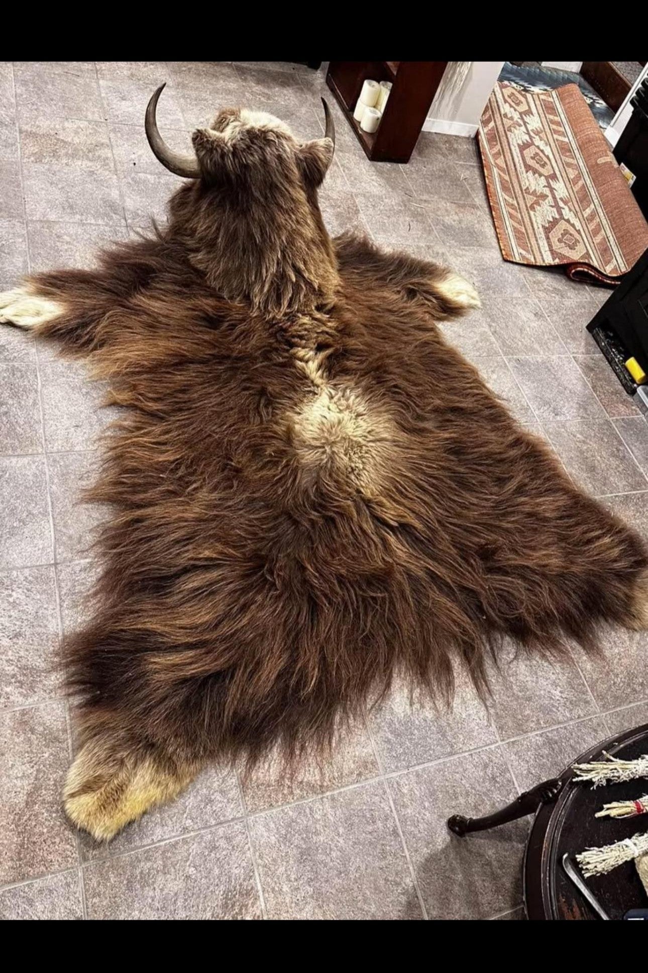 FHSUZ28 - Muskox Rug With Mounted Taxidermy Head