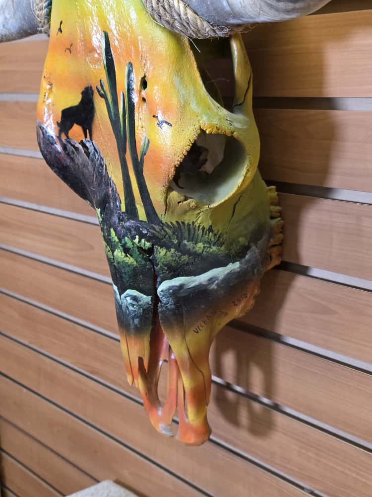 JTV265 - painted steer real horns taxidermy skull