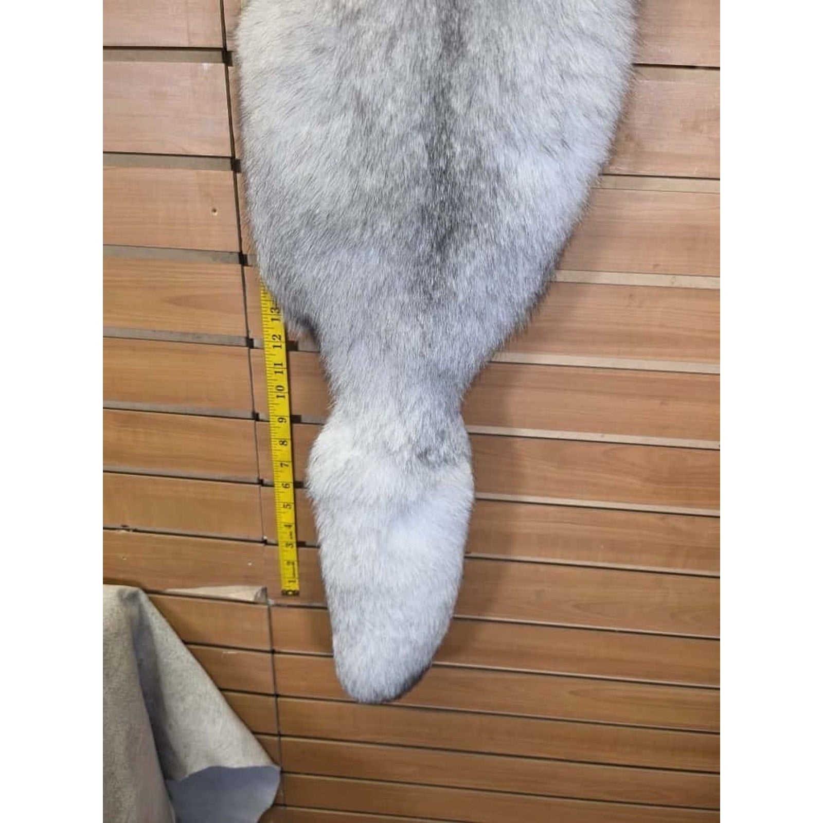 FHCM6- Blue Ranch Fox Soft Tanned Furs Taxidermy
